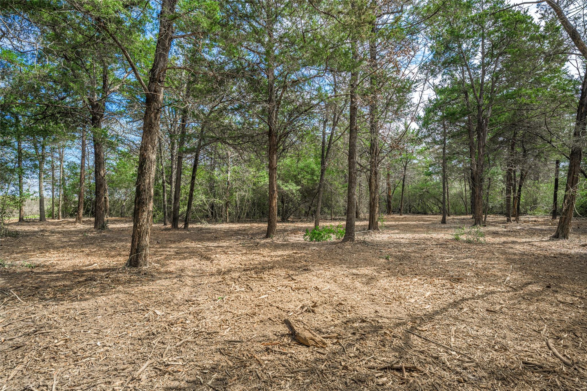 TBD (LOT 1) Independence St, Carmine, TX 78932