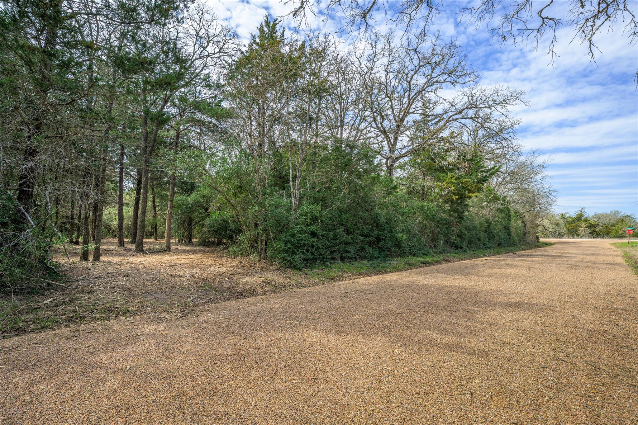 TBD (LOT 1) Independence St, Carmine, TX 78932