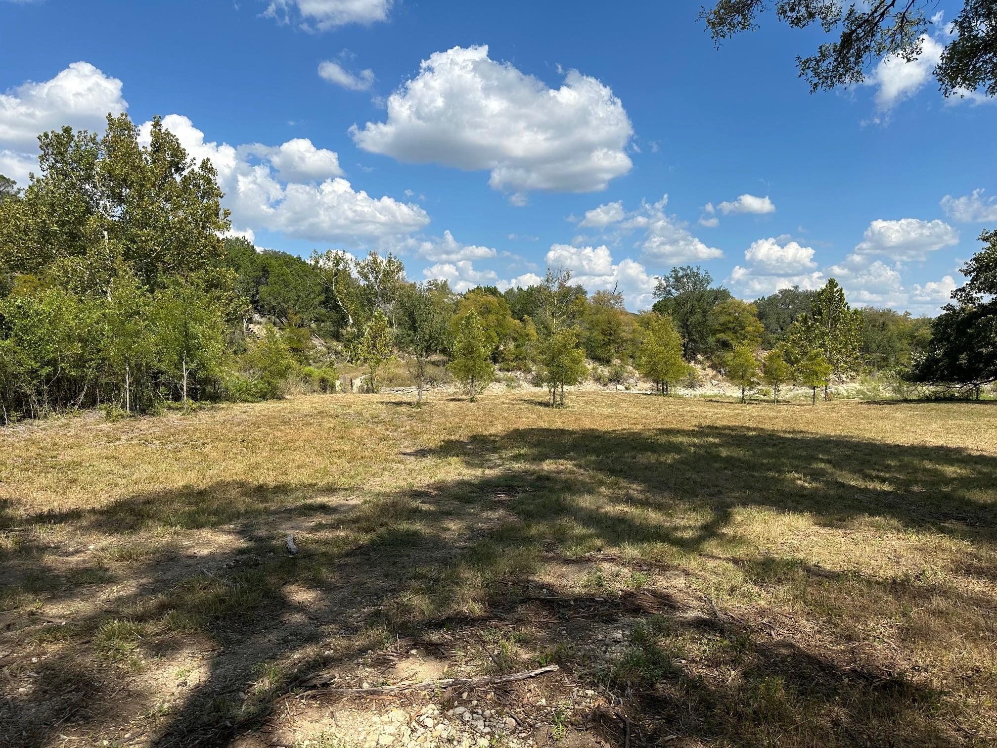 17307 E Reed Parks Rd, Jonestown, TX 78645