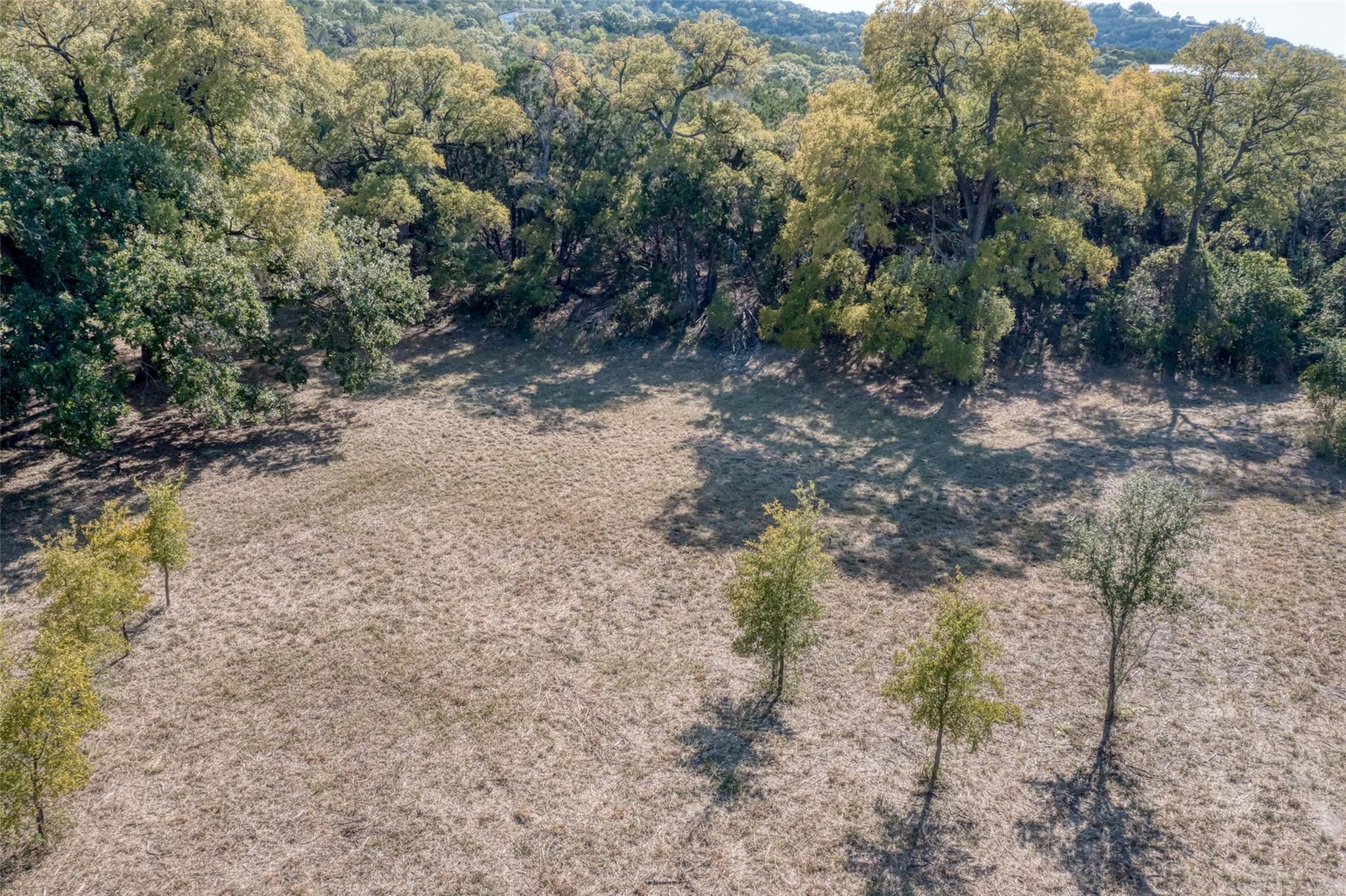 17307 E Reed Parks Rd, Jonestown, TX 78645