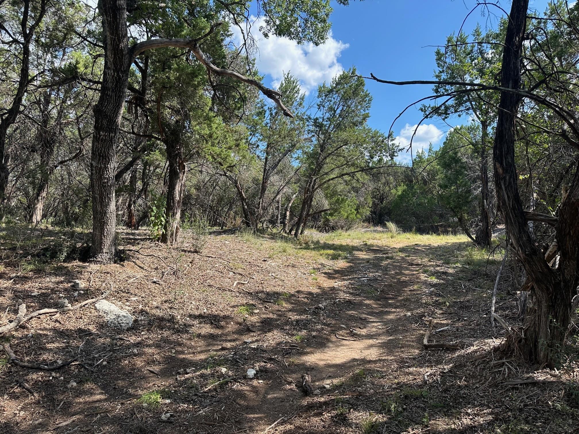 17307 E Reed Parks Rd, Jonestown, TX 78645