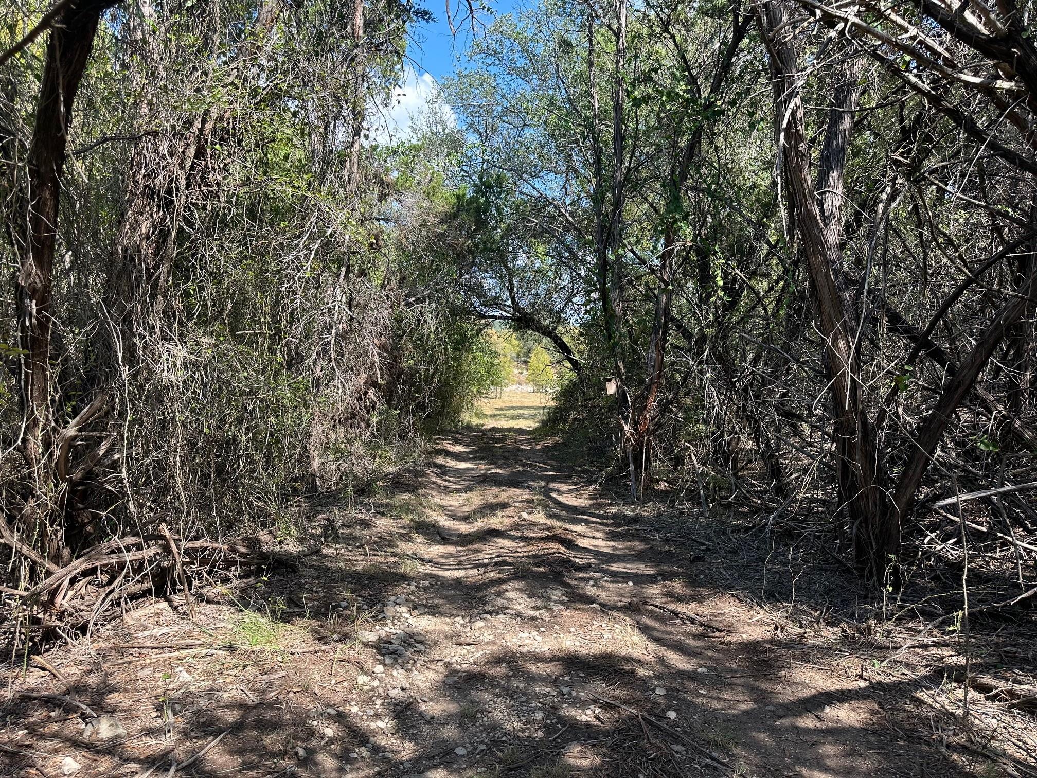 17307 E Reed Parks Rd, Jonestown, TX 78645