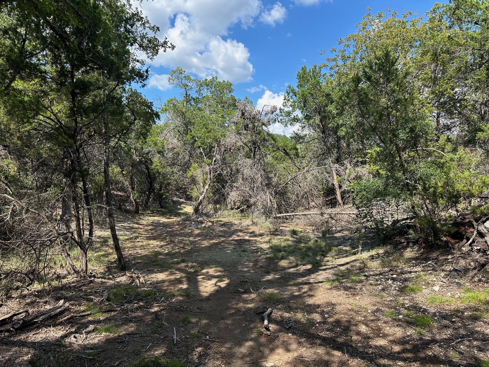 17307 E Reed Parks Rd, Jonestown, TX 78645