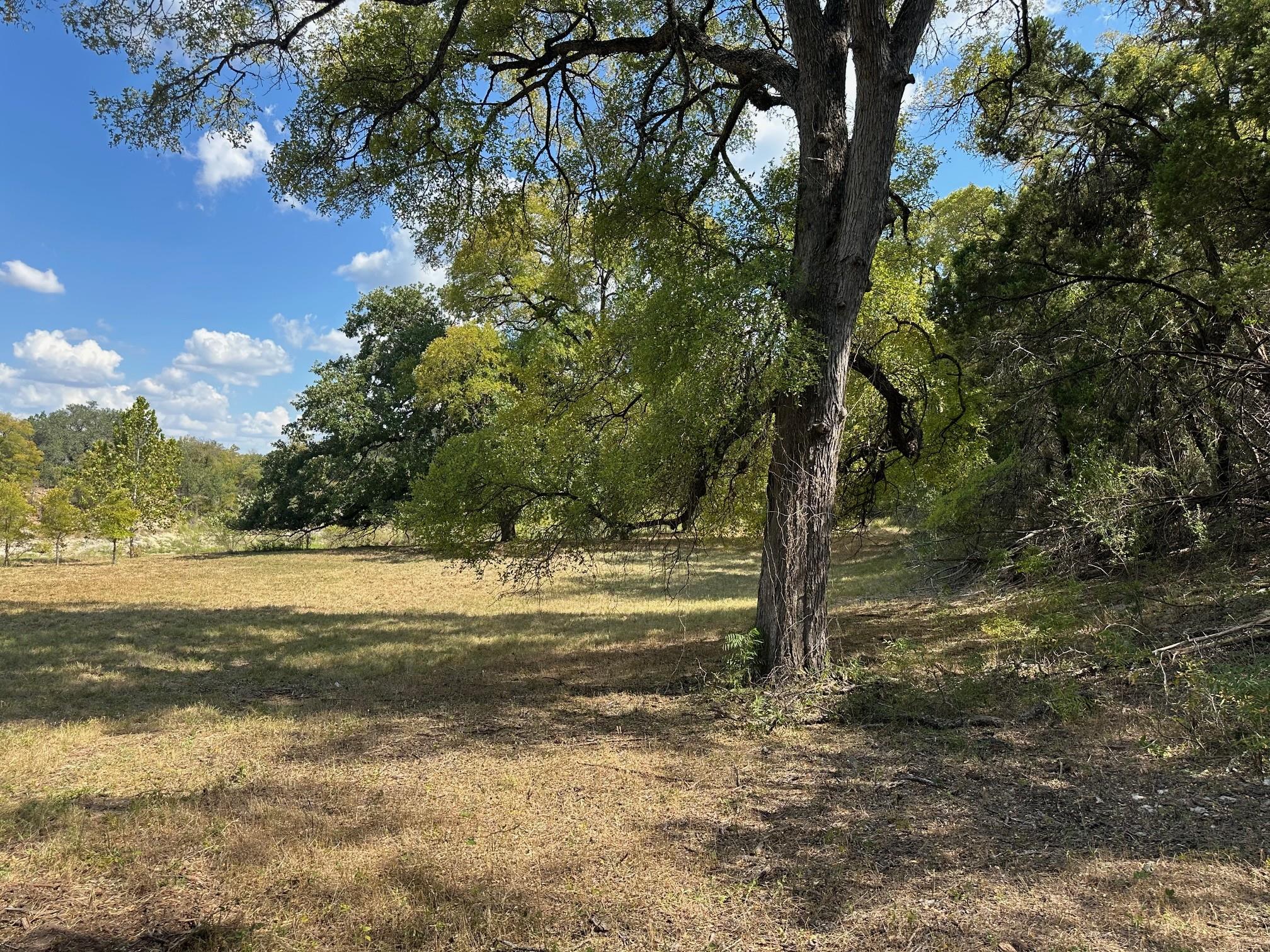 17307 E Reed Parks Rd, Jonestown, TX 78645