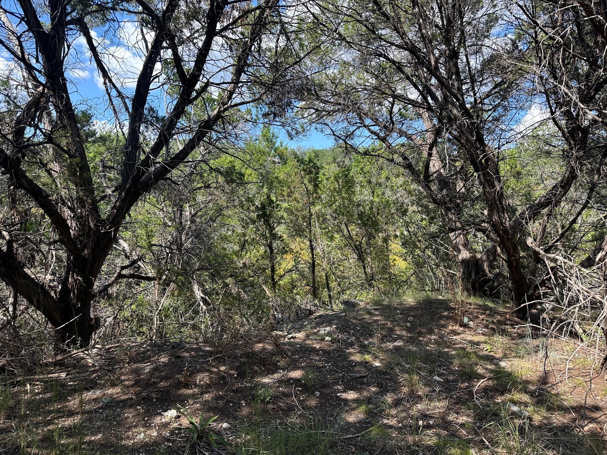 17307 E Reed Parks Rd, Jonestown, TX 78645