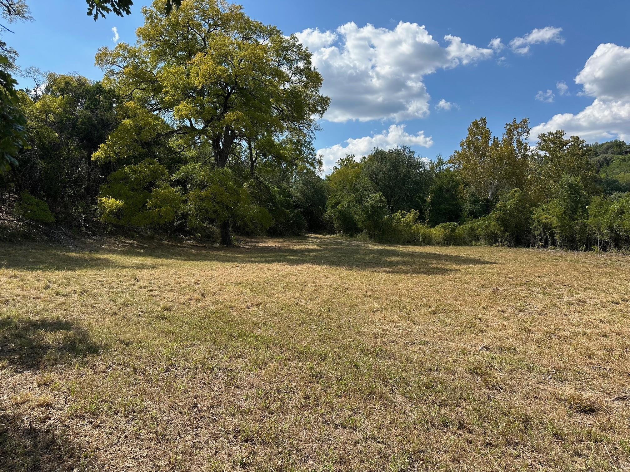 17307 E Reed Parks Rd, Jonestown, TX 78645