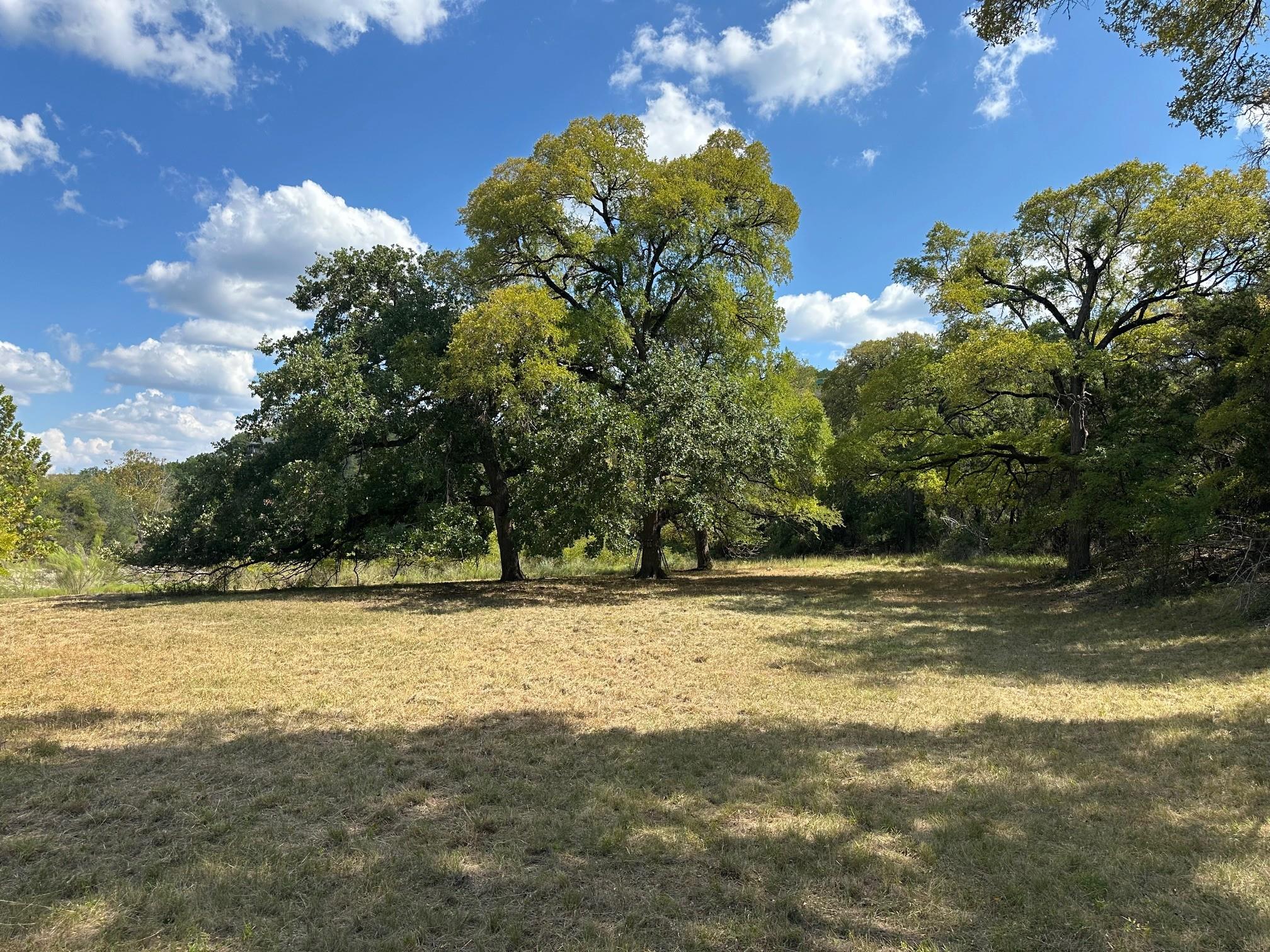 17307 E Reed Parks Rd, Jonestown, TX 78645