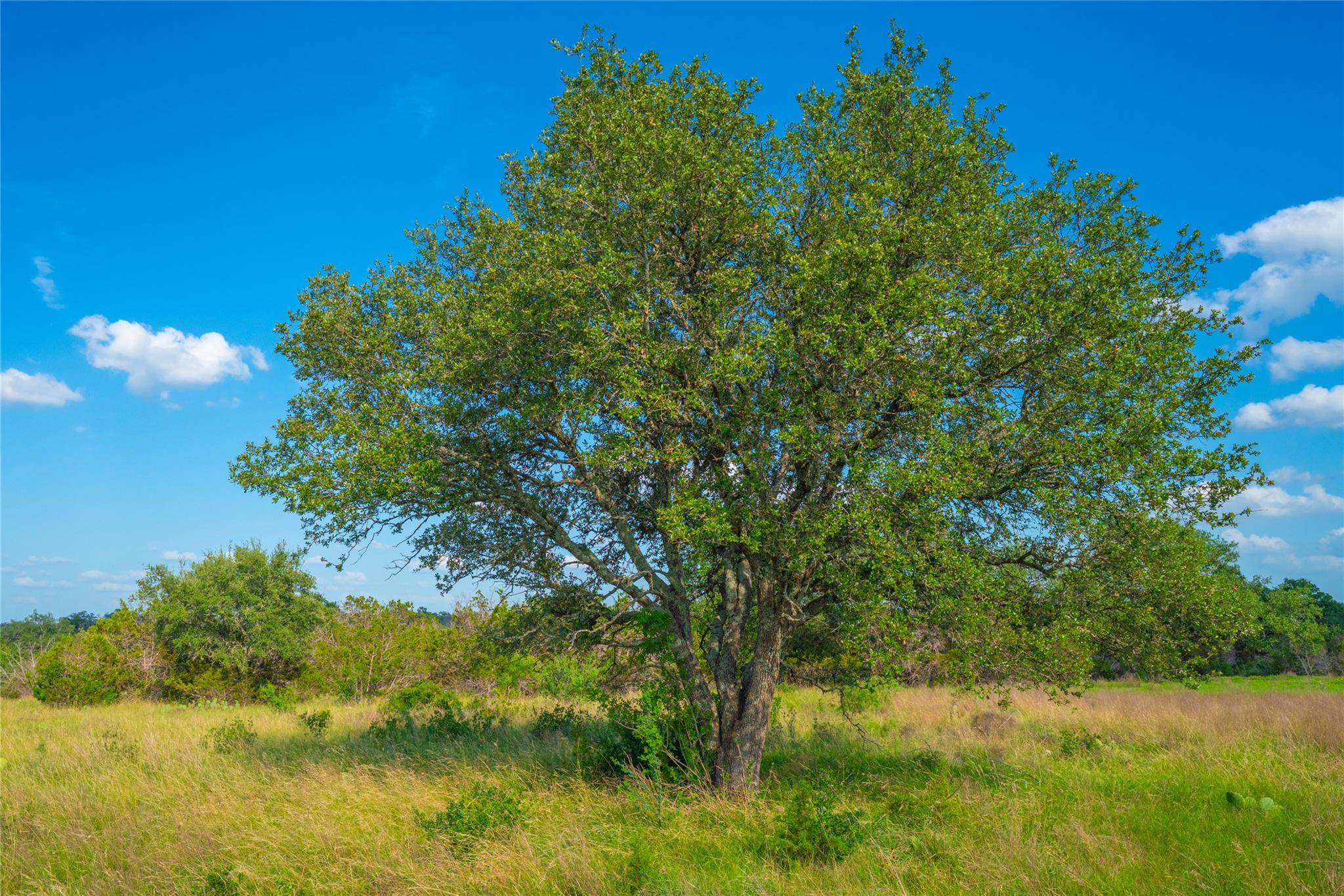 0000 Long View Ranch, Johnson City, TX 78636