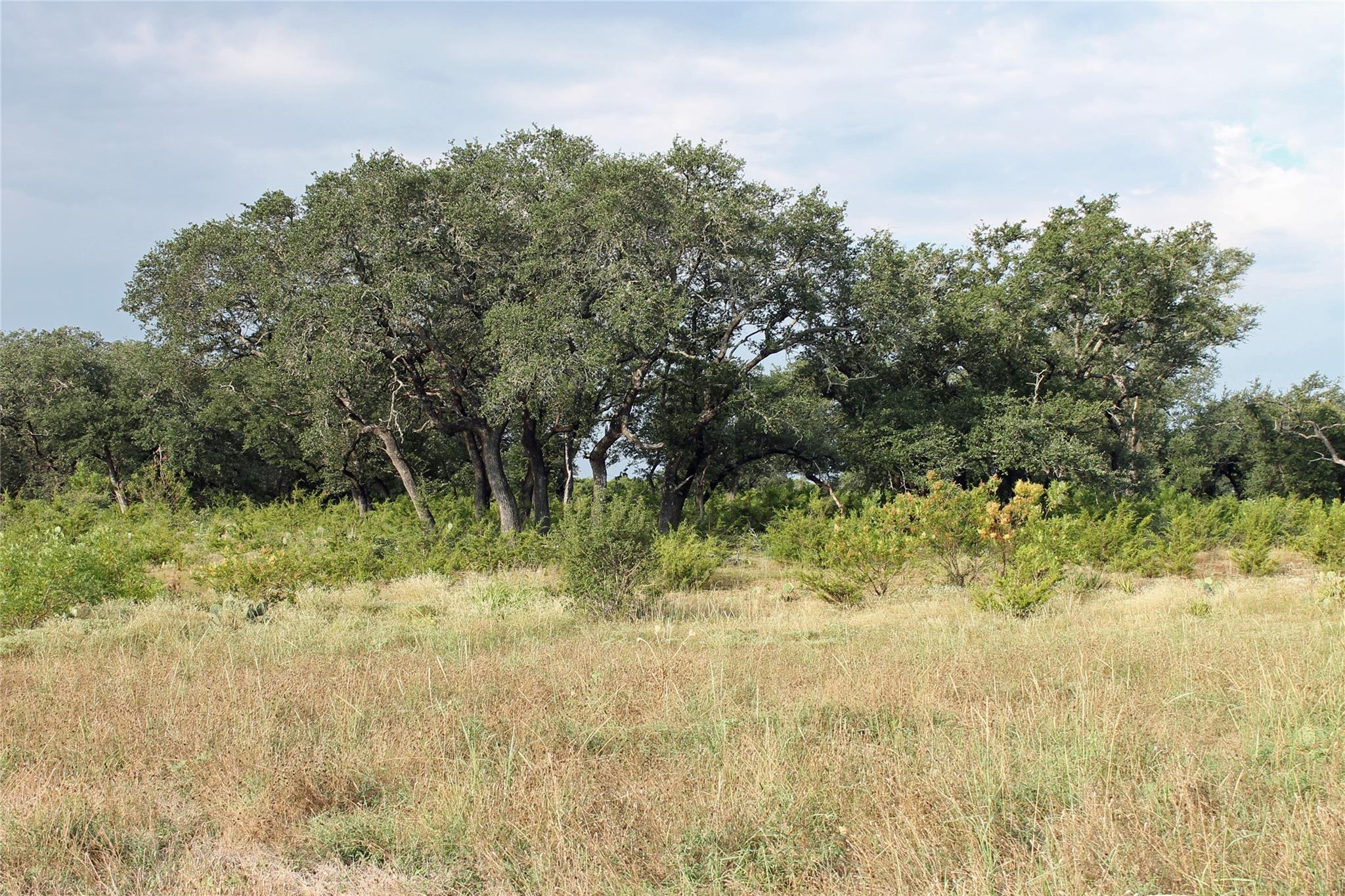 4585 County Road 108, Burnet, TX 78611