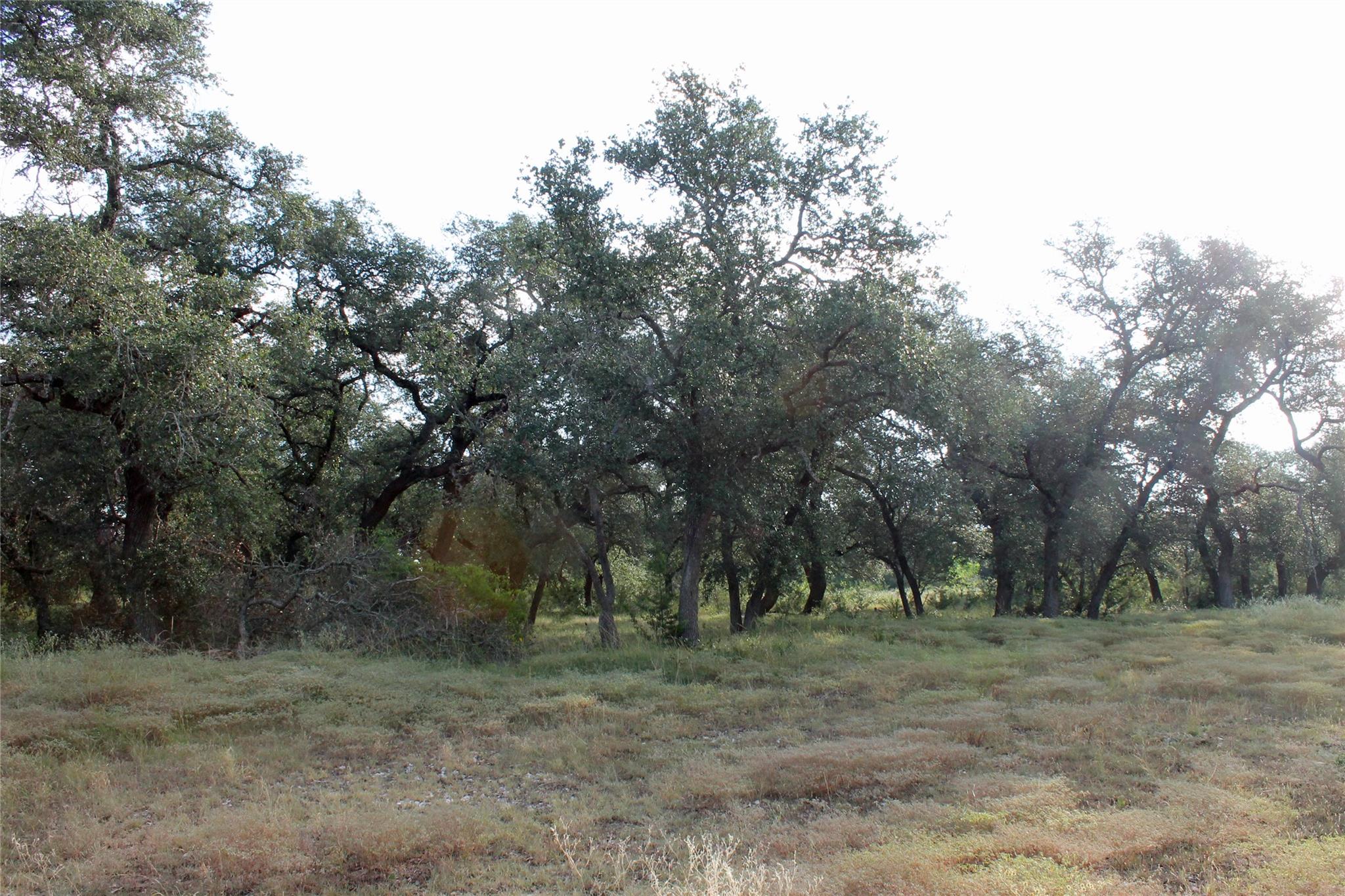 4585 County Road 108, Burnet, TX 78611