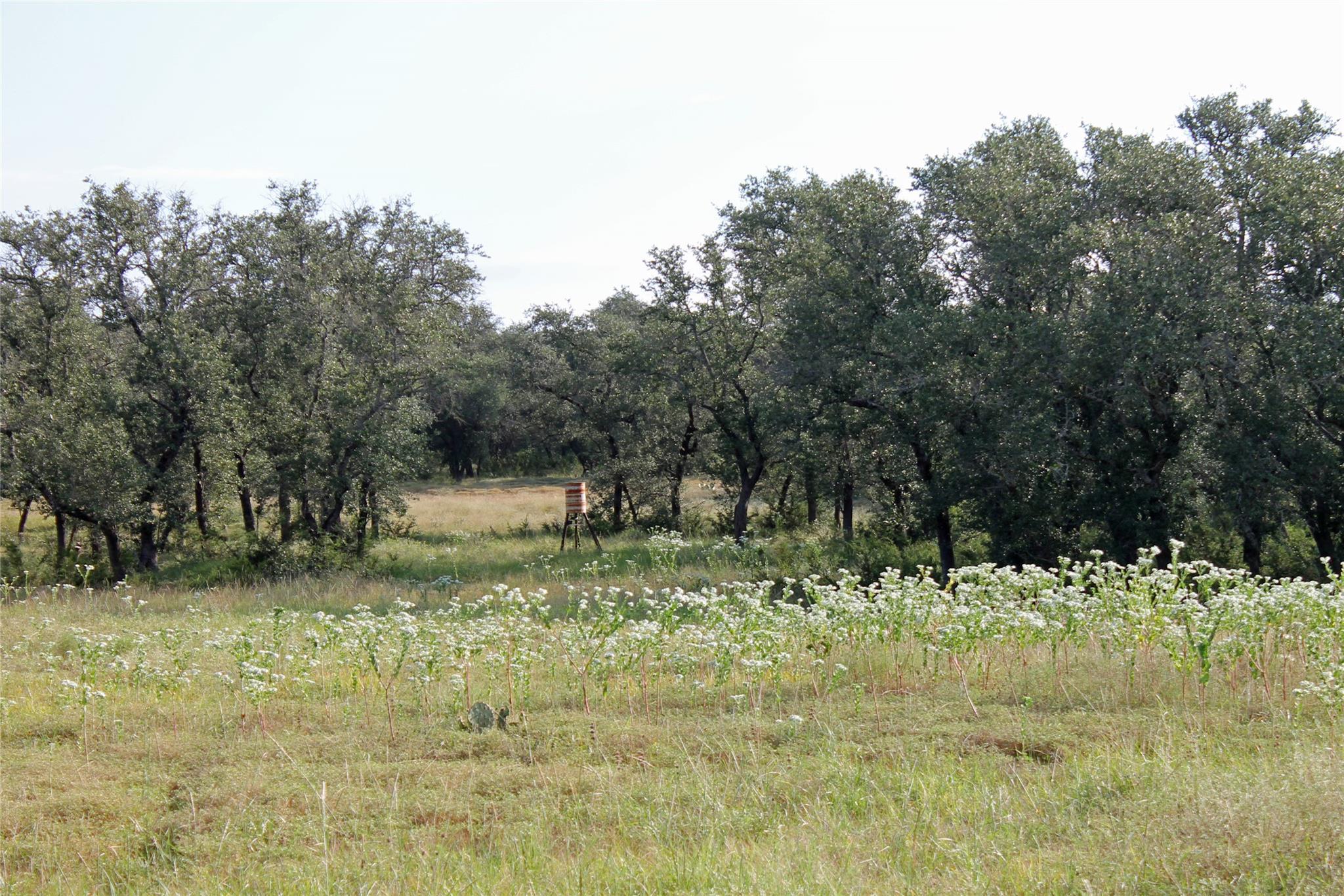 4585 County Road 108, Burnet, TX 78611