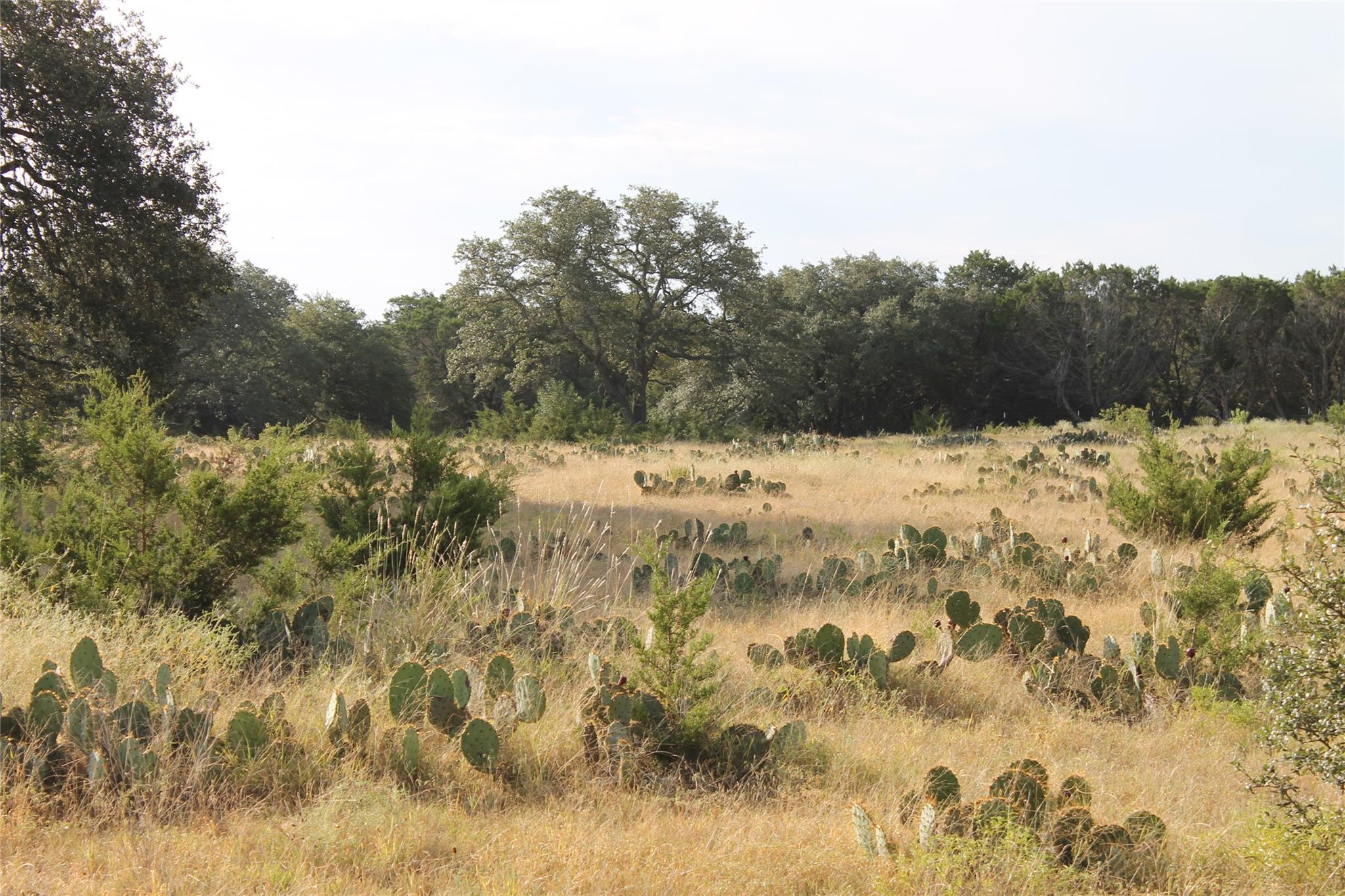 4585 County Road 108, Burnet, TX 78611