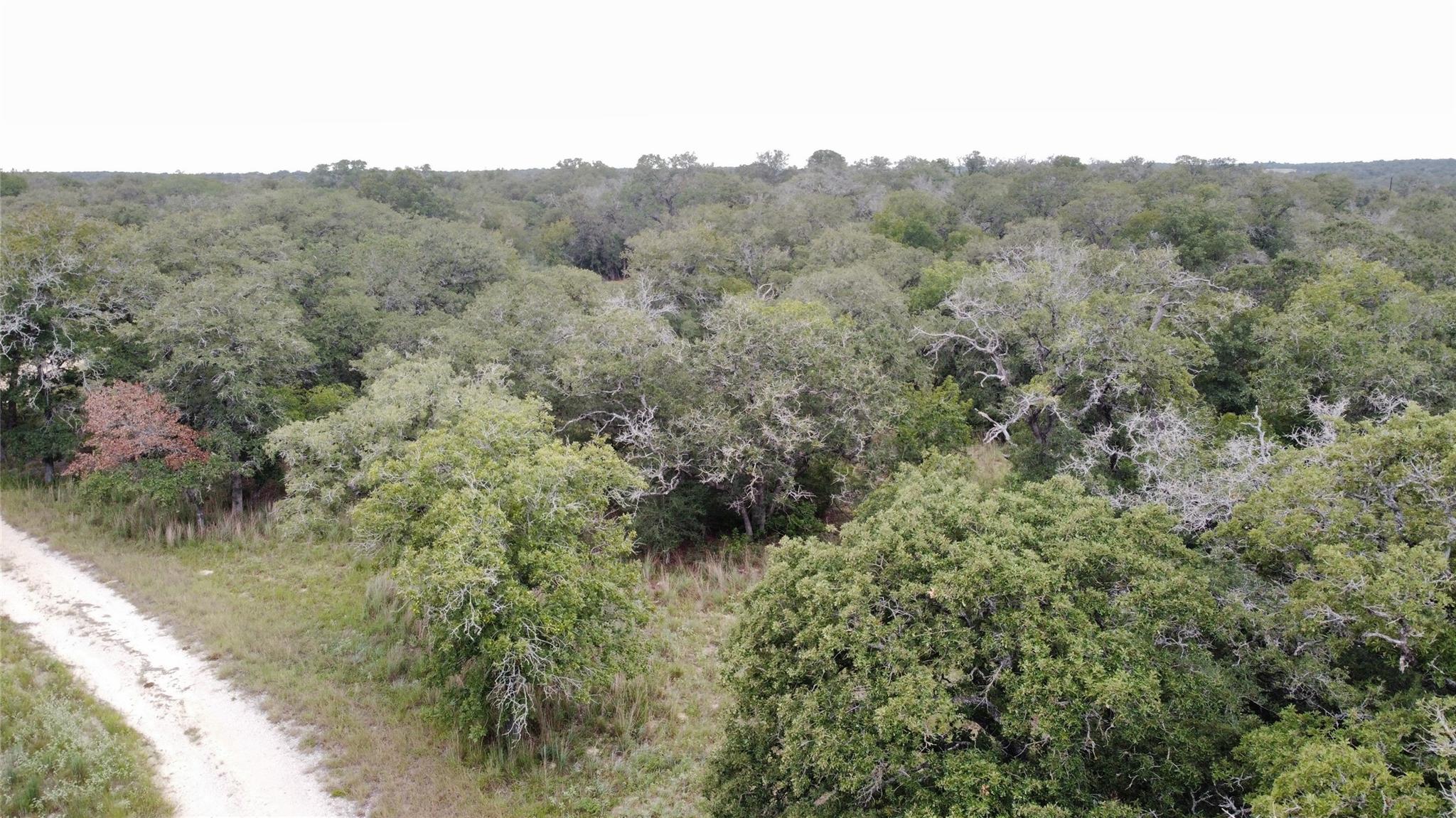 320 Daisy Haven Ln, Seguin, TX 78155