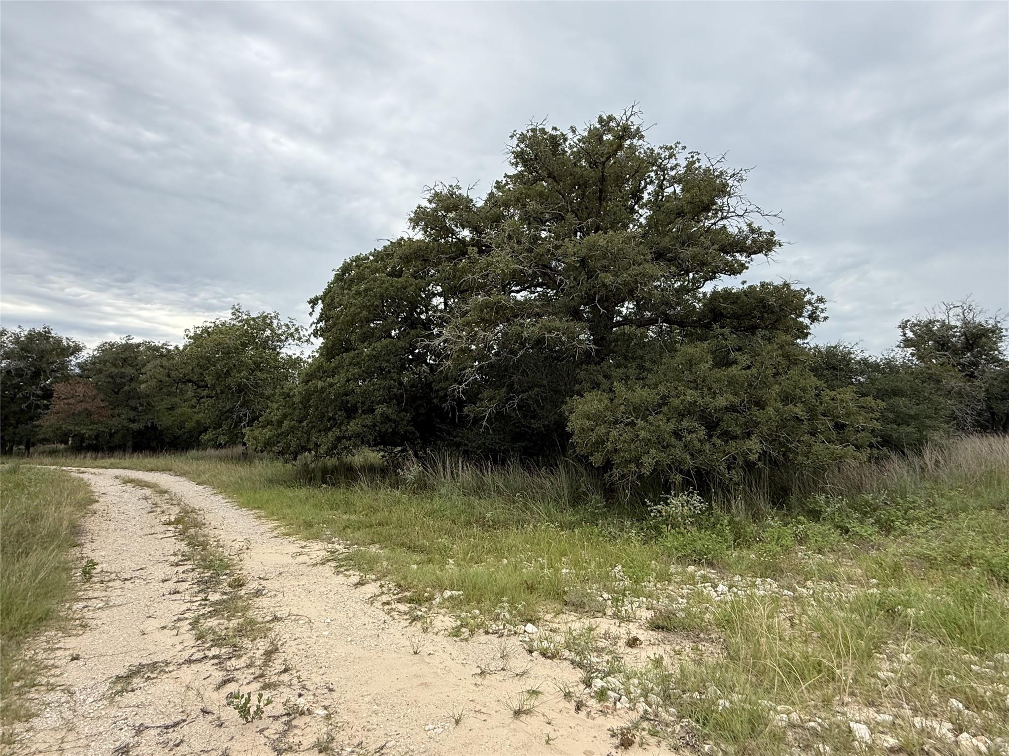 320 Daisy Haven Ln, Seguin, TX 78155