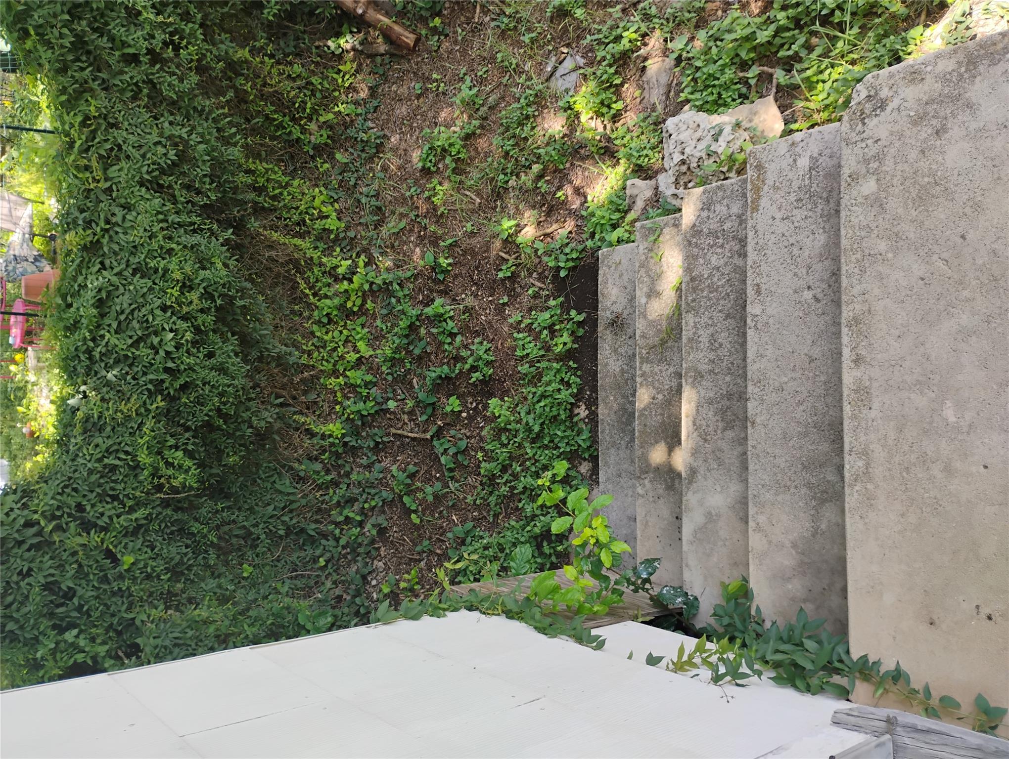 545 Lindsey St, San Marcos, TX 78666