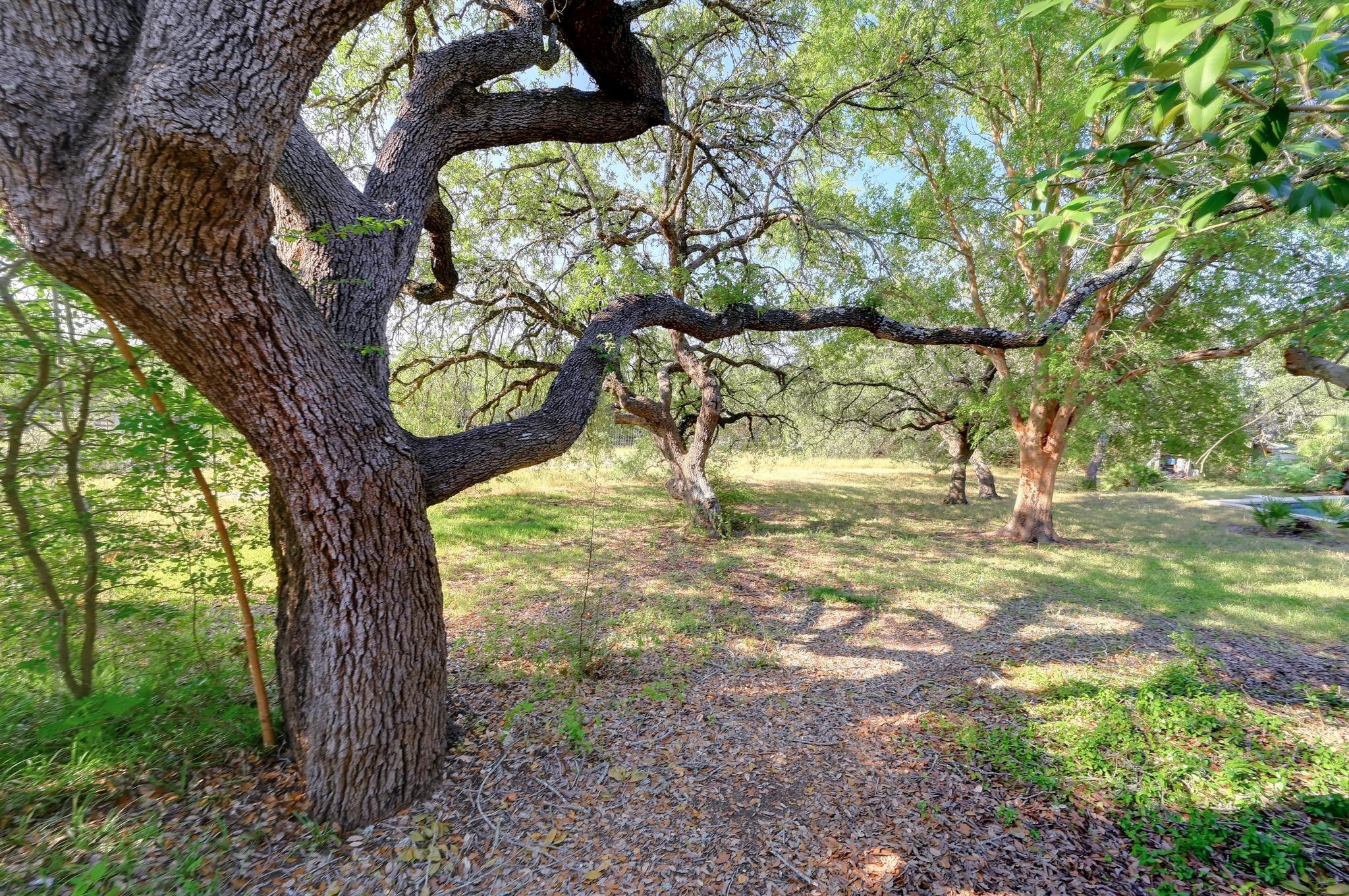 445 Bendigo Ln, Wimberley, TX 78676