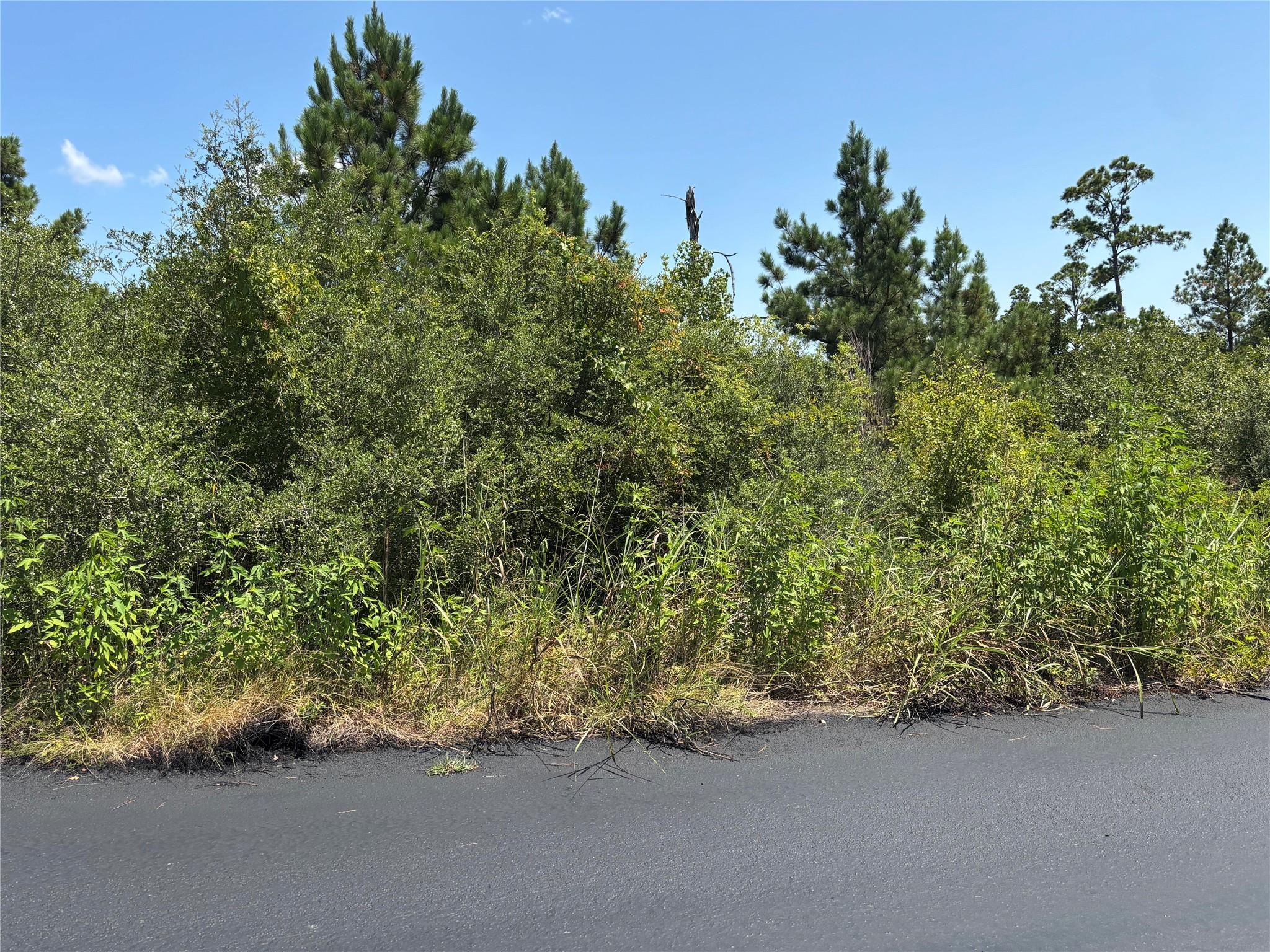 106 Homonu Ct, Bastrop, TX 78602