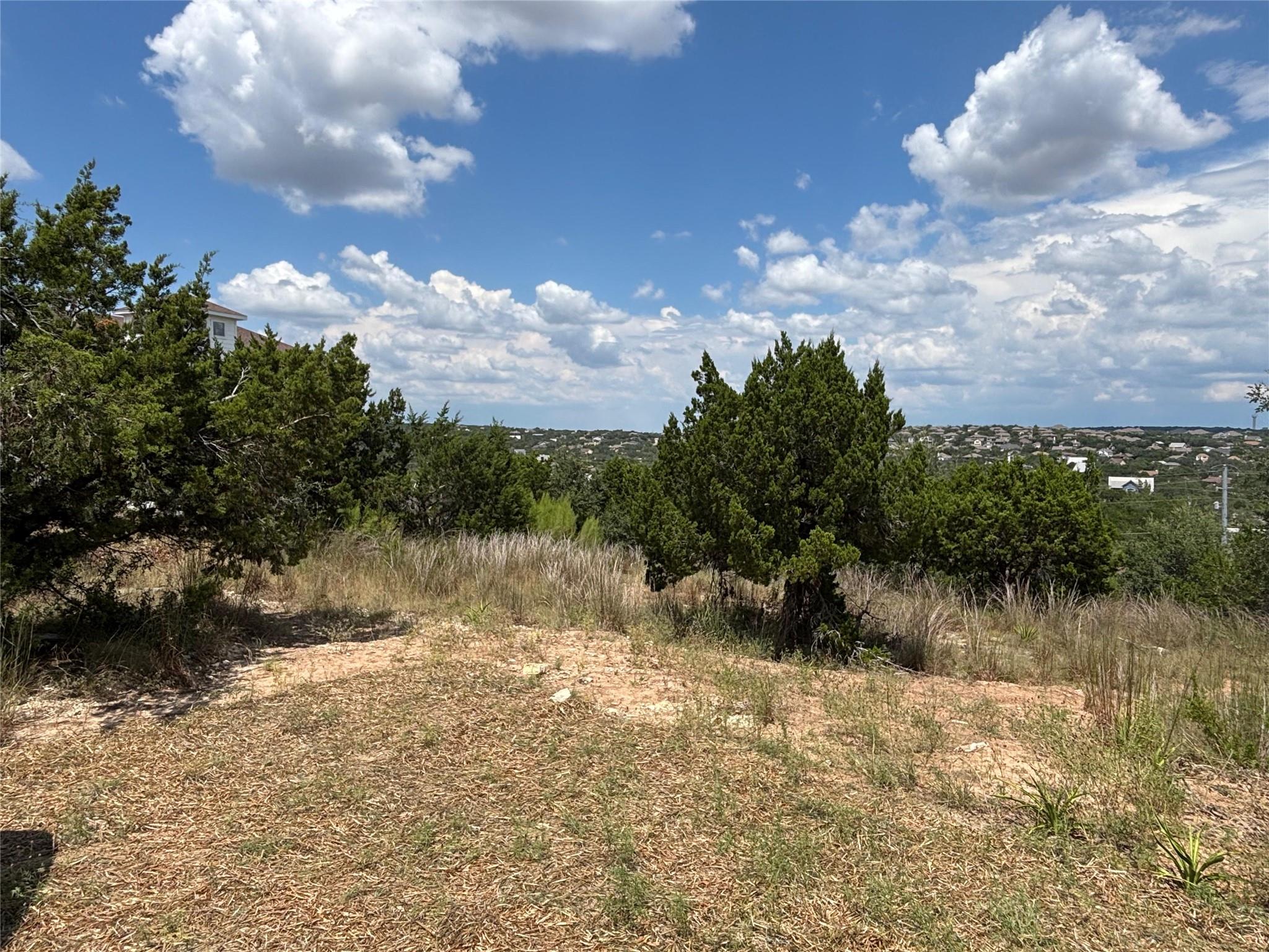17621 Panorama Dr, Dripping Springs, TX 78620