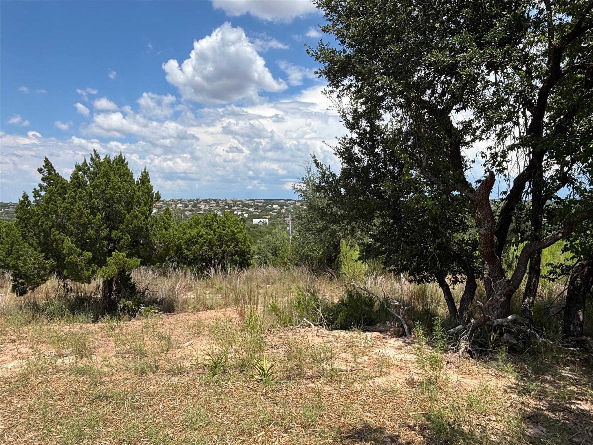 17621 Panorama Dr, Dripping Springs, TX 78620