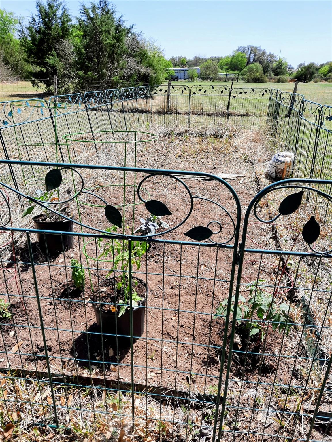 1250 County Road 200, Liberty Hill, TX 78642