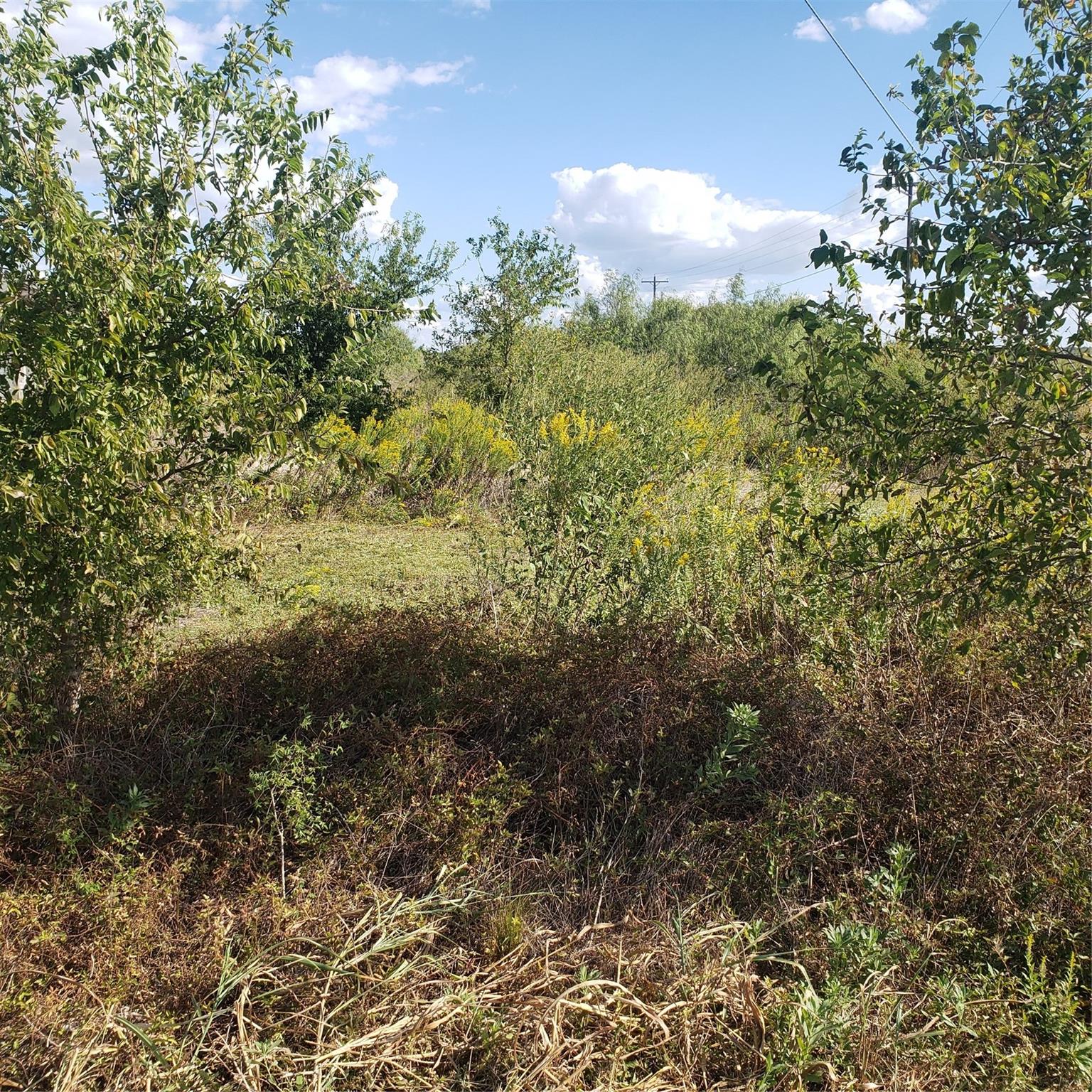 8909 Linden Rd, Del Valle, TX 78617