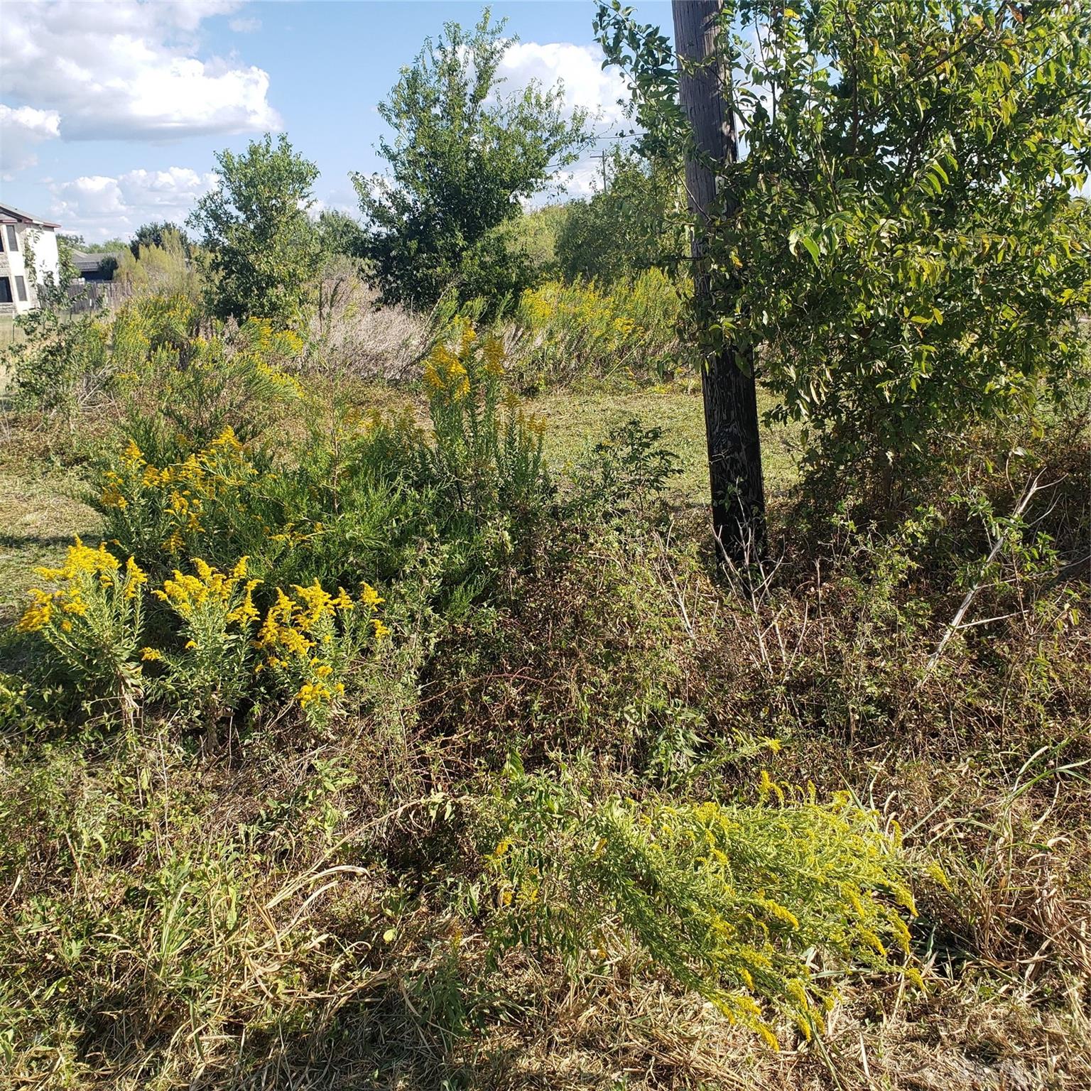 8909 Linden Rd, Del Valle, TX 78617