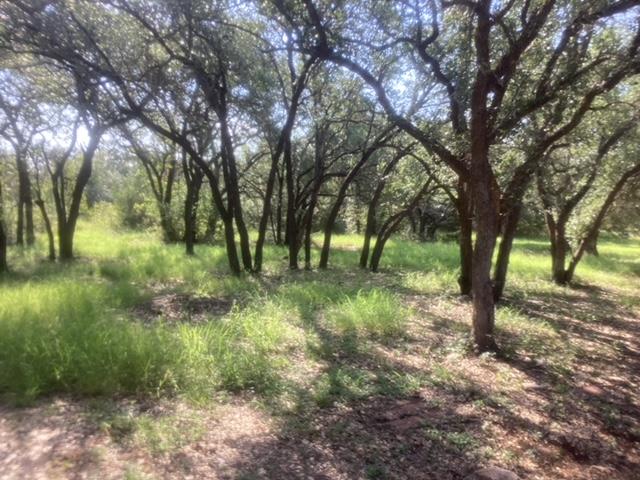 5943 County Road 200, Liberty Hill, TX 78642