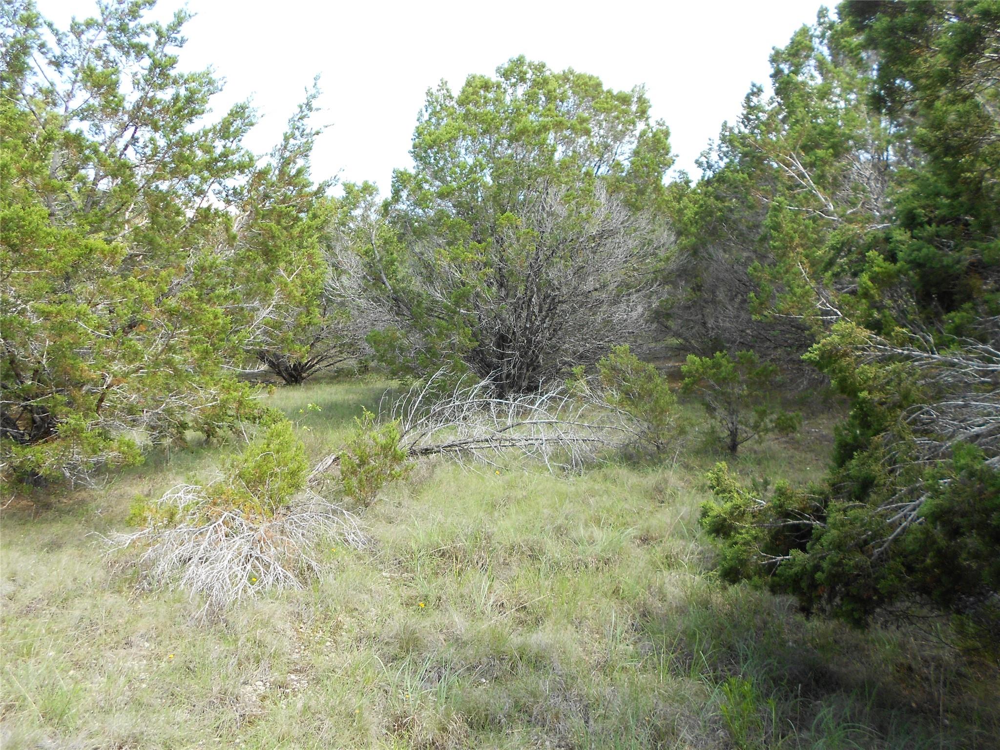 20604 Overland Trl, Lago Vista, TX 78645