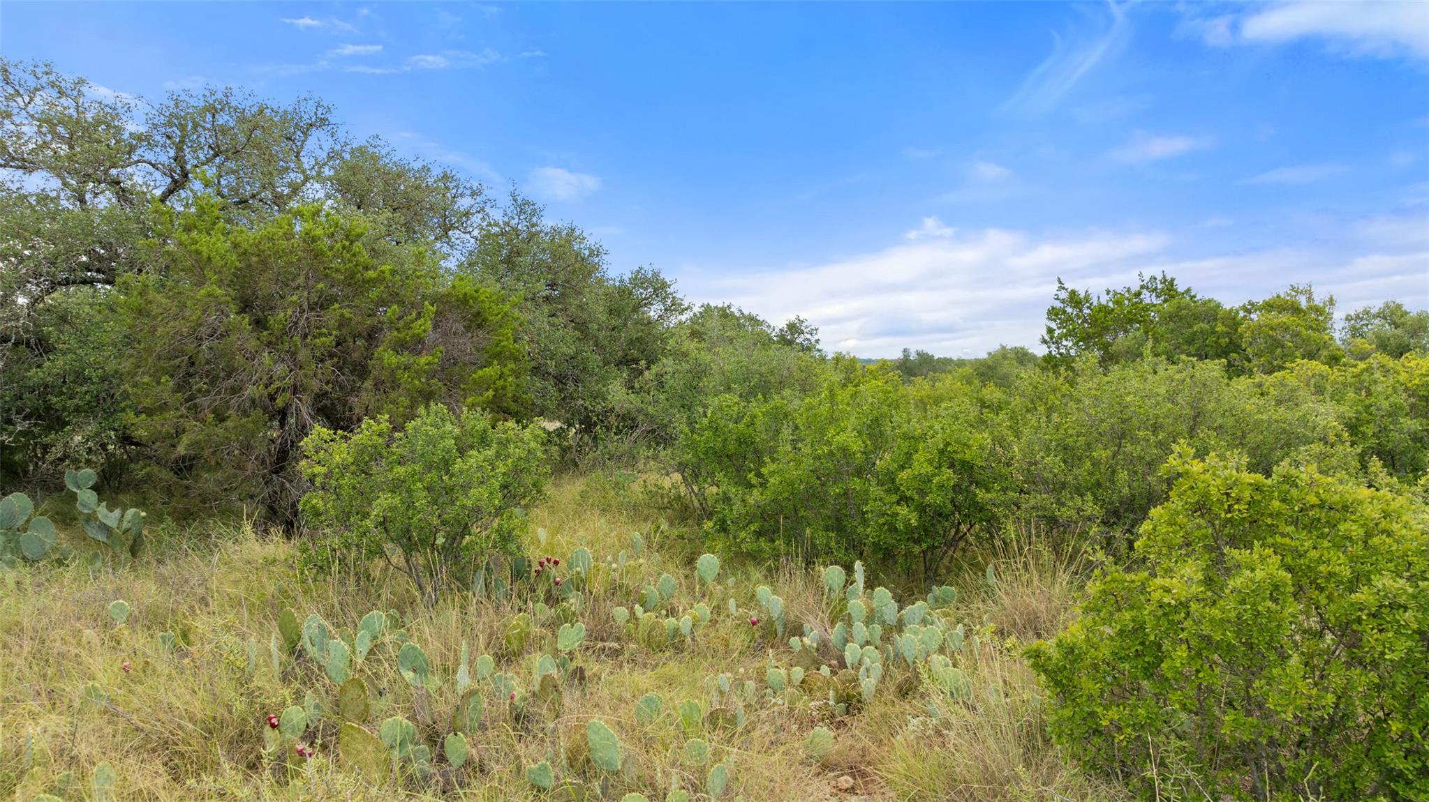 Lot 37 Vista Ridge Dr, Round Mountain, TX 78663
