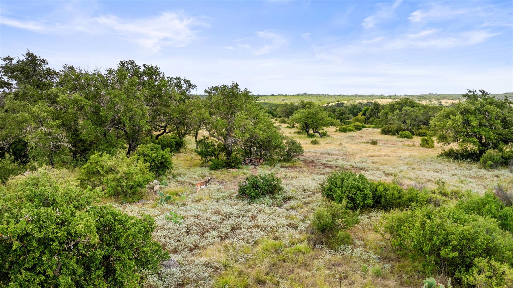 Lot 37 Vista Ridge Dr, Round Mountain, TX 78663