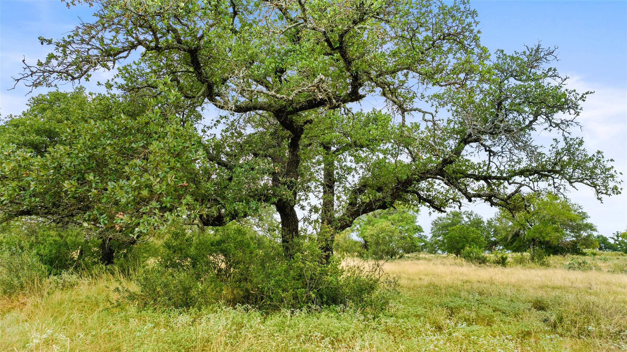 Lot 37 Vista Ridge Dr, Round Mountain, TX 78663