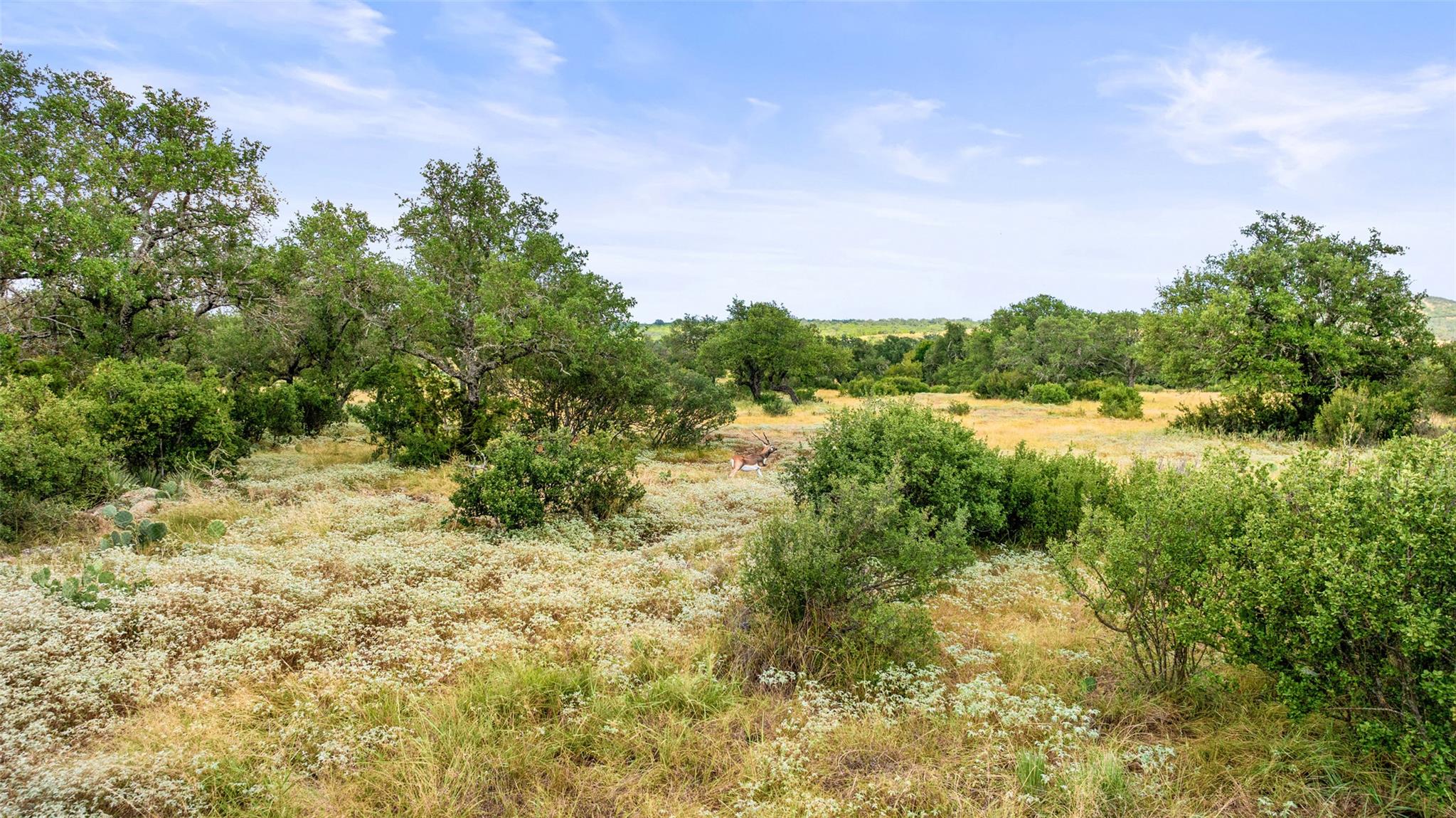 Lot 37 Vista Ridge Dr, Round Mountain, TX 78663