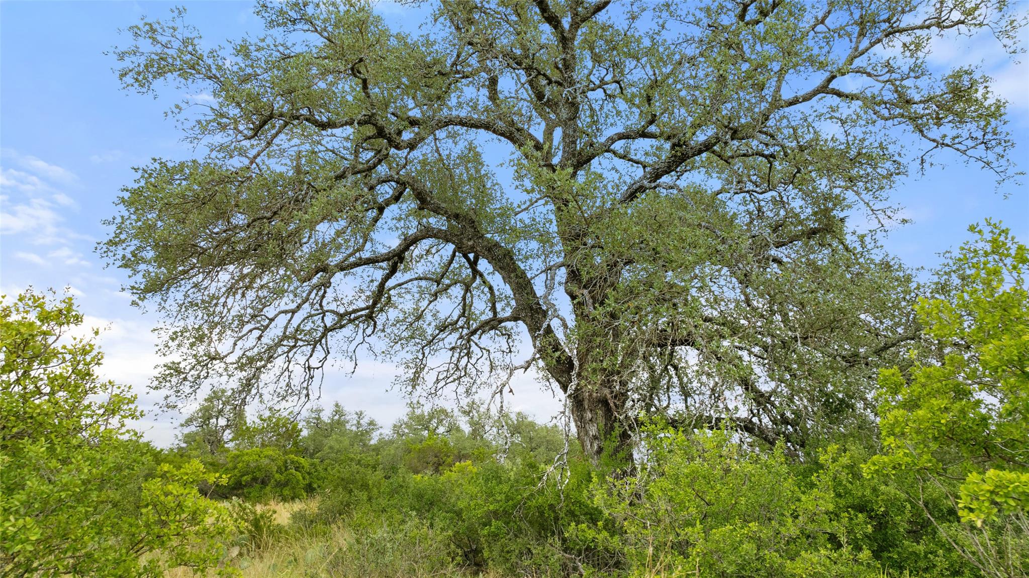 Lot 37 Vista Ridge Dr, Round Mountain, TX 78663