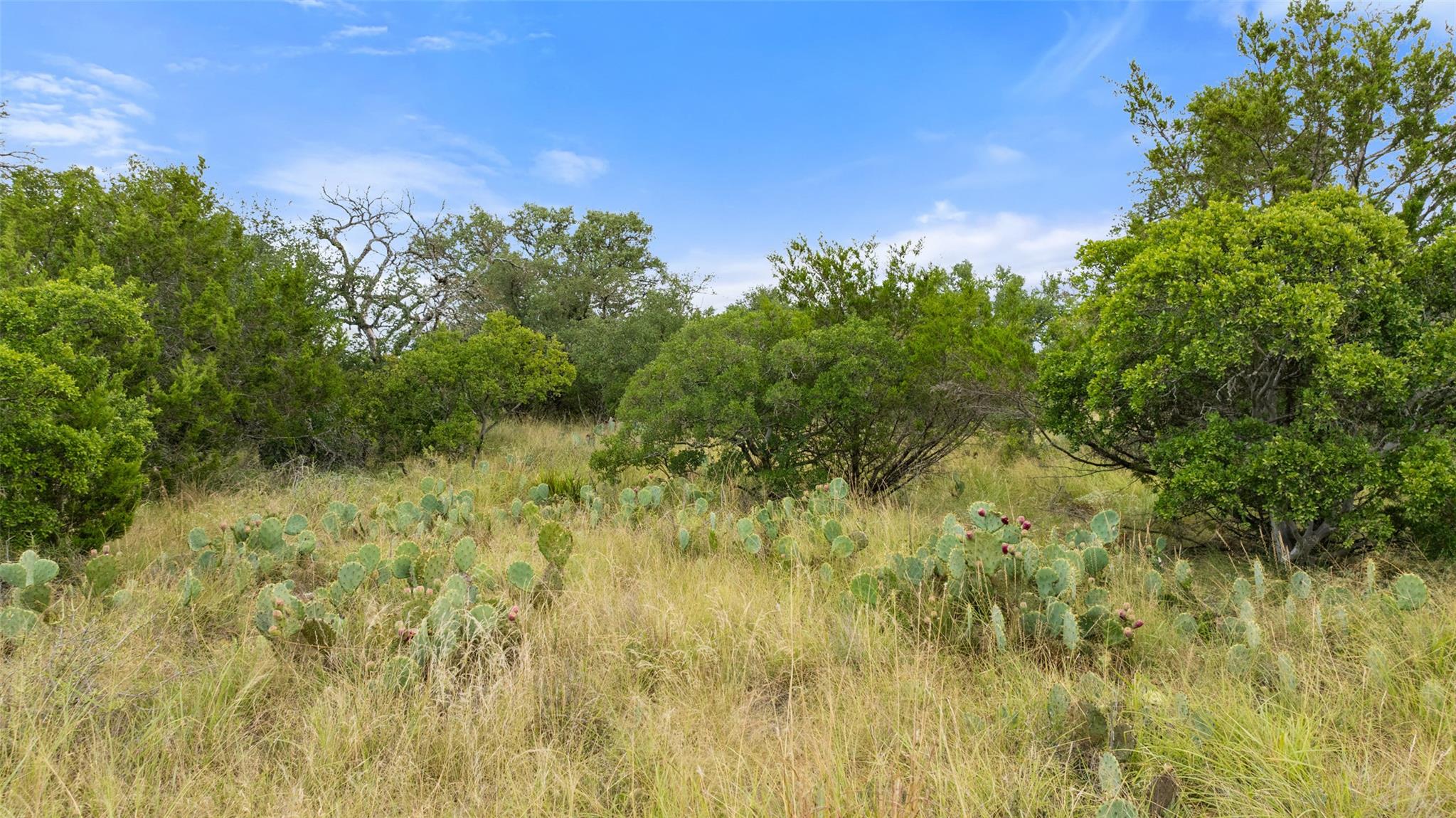 Lot 37 Vista Ridge Dr, Round Mountain, TX 78663