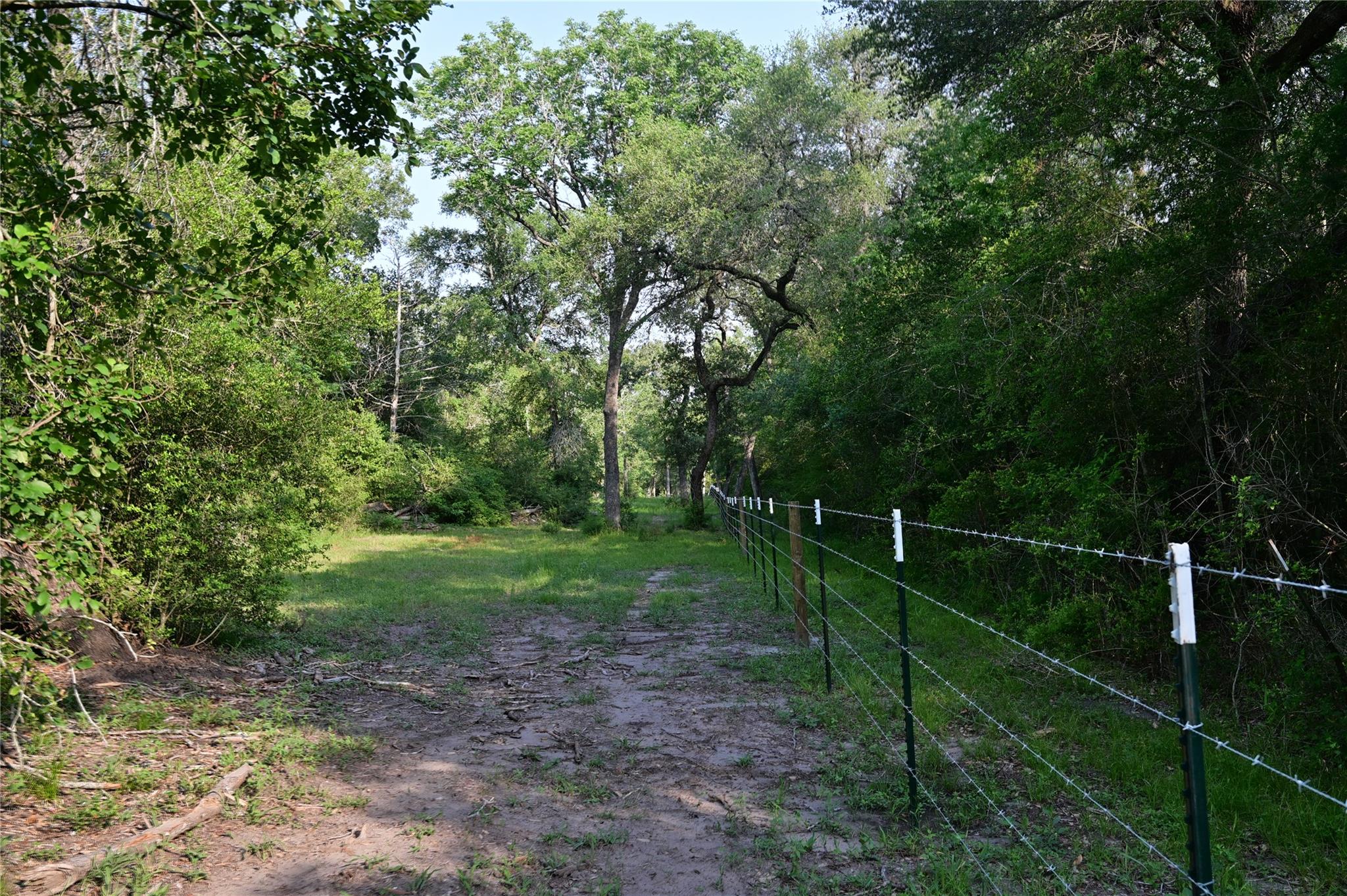 2737 Lomax Harmel Rd, Carmine, TX 78932