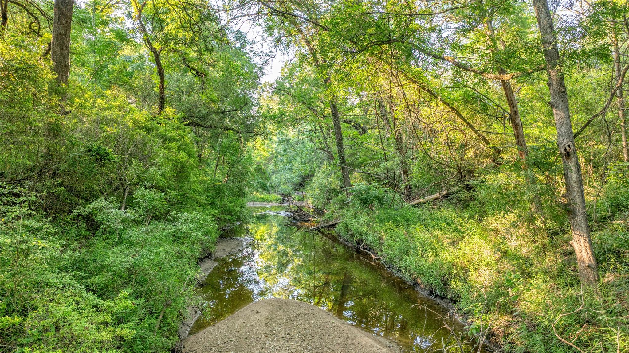 2737 Lomax Harmel Rd, Carmine, TX 78932