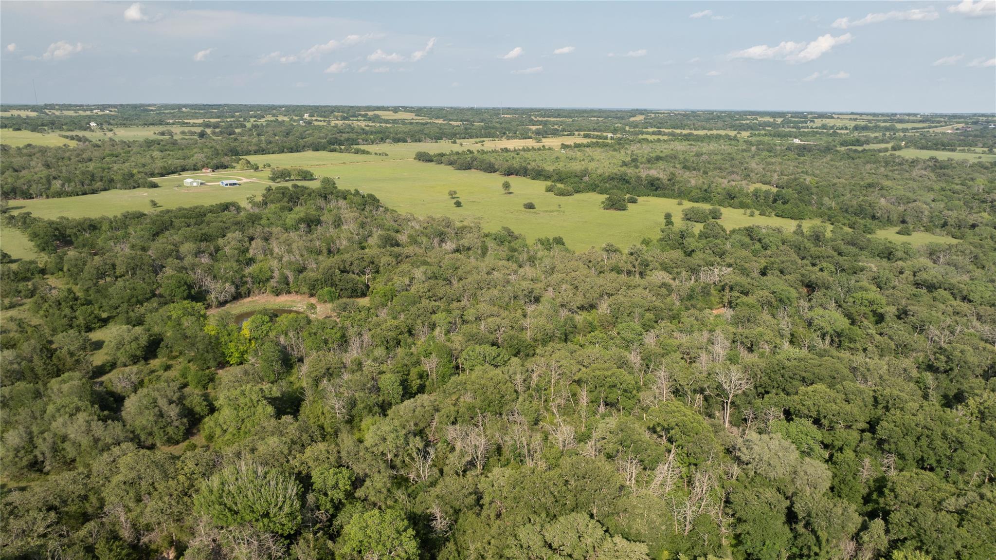 2737 Lomax Harmel Rd, Carmine, TX 78932