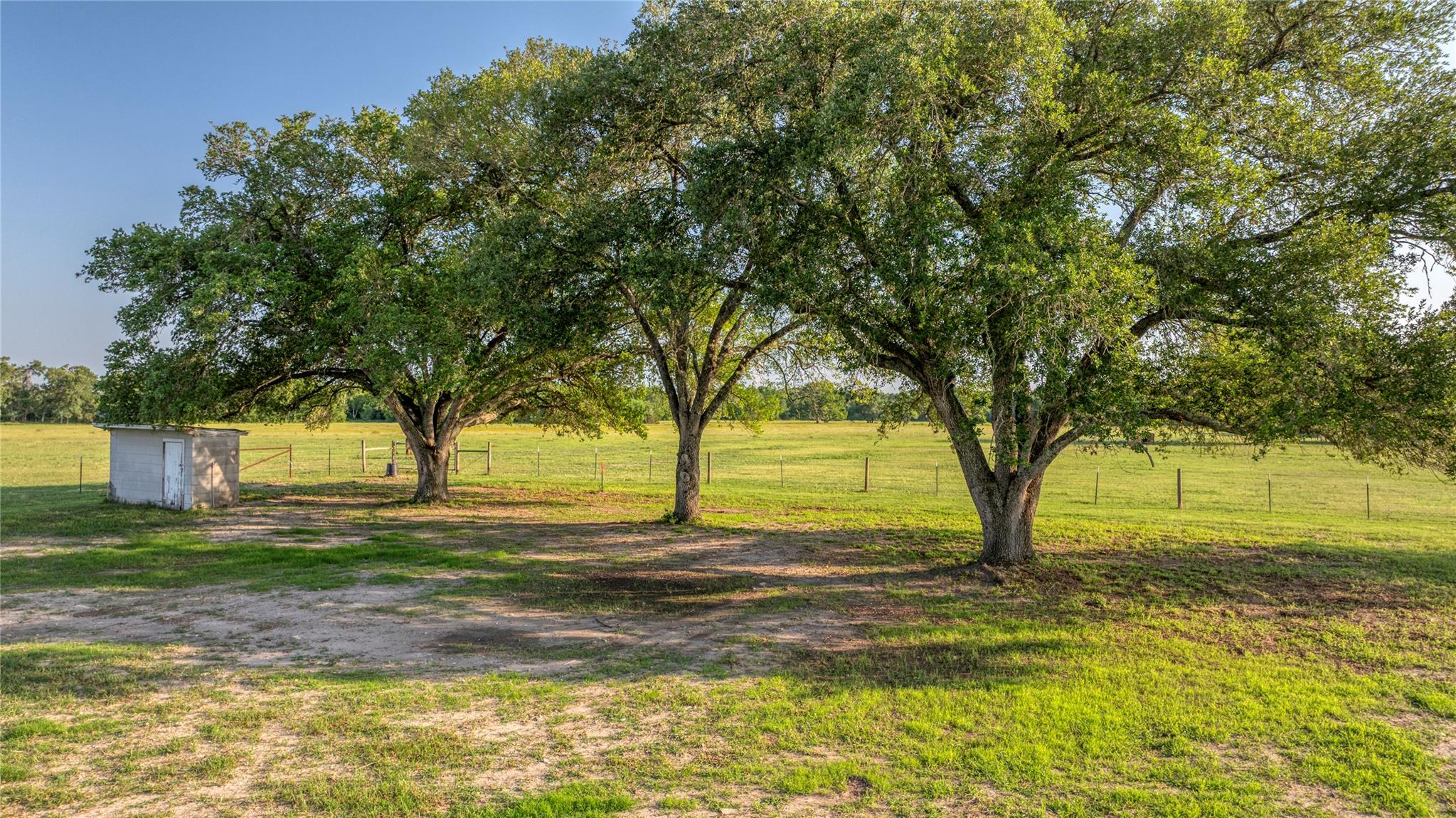 2737 Lomax Harmel Rd, Carmine, TX 78932