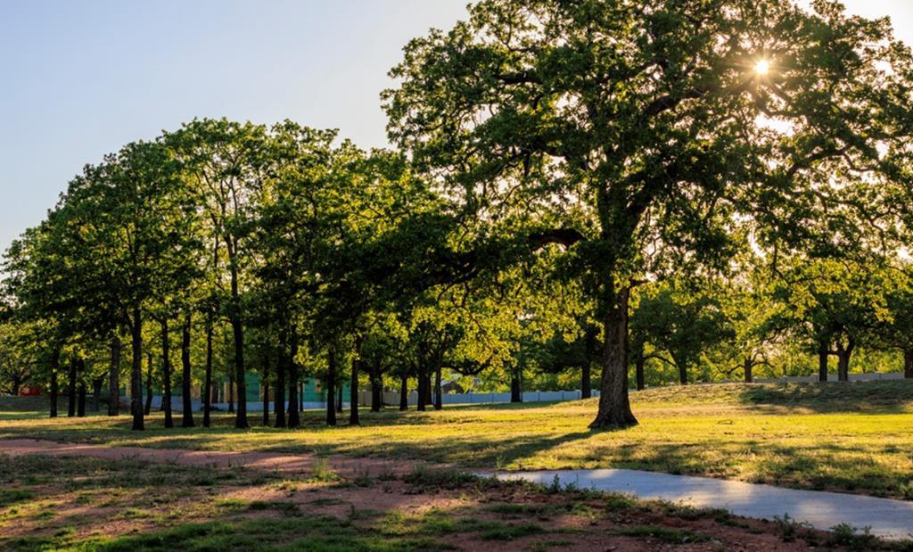 Lot 73 - 227 Interlaken St, Fredericksburg, TX 78624
