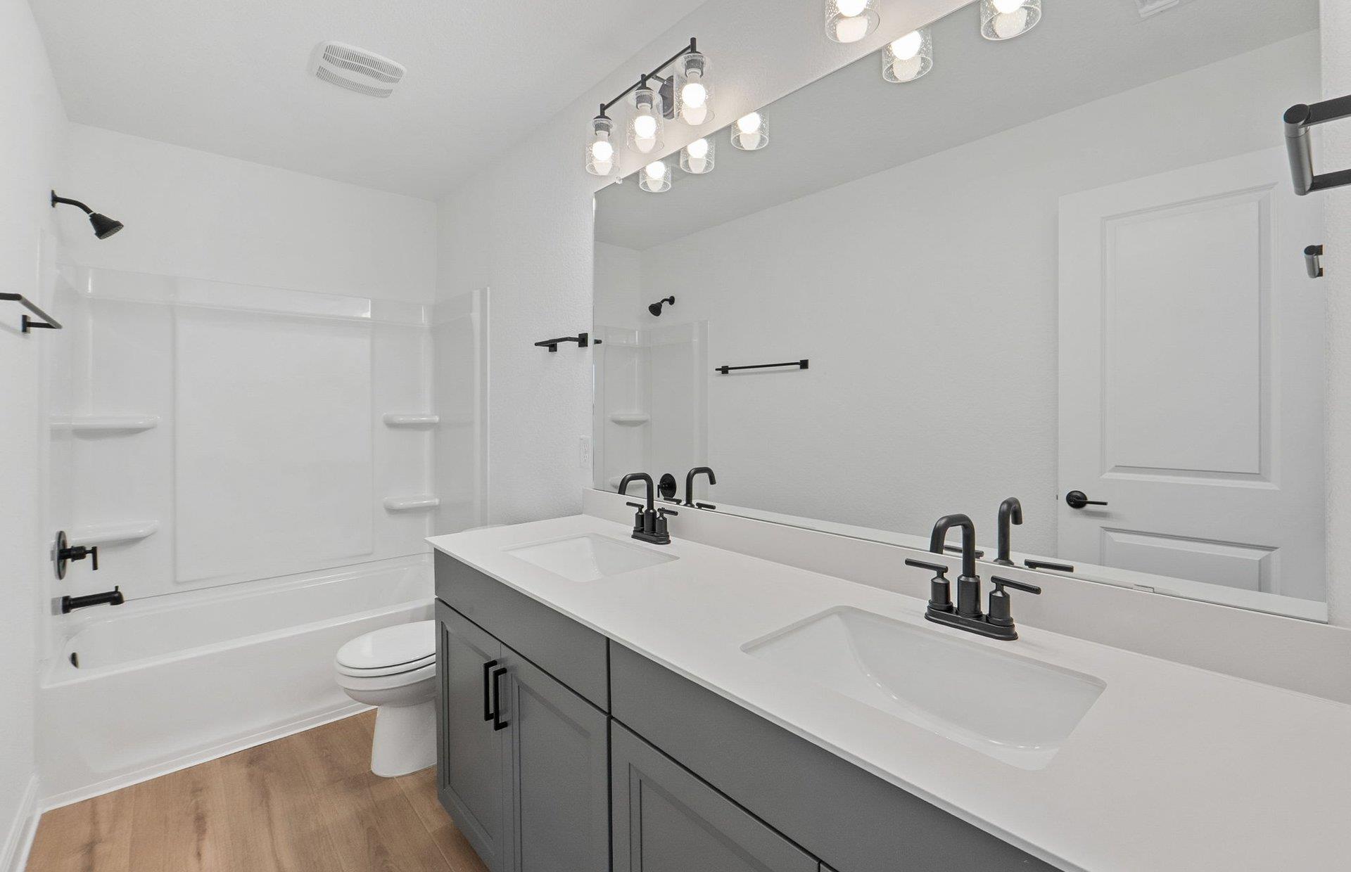 313 Bristlecone Bnd, Liberty Hill, TX 78642