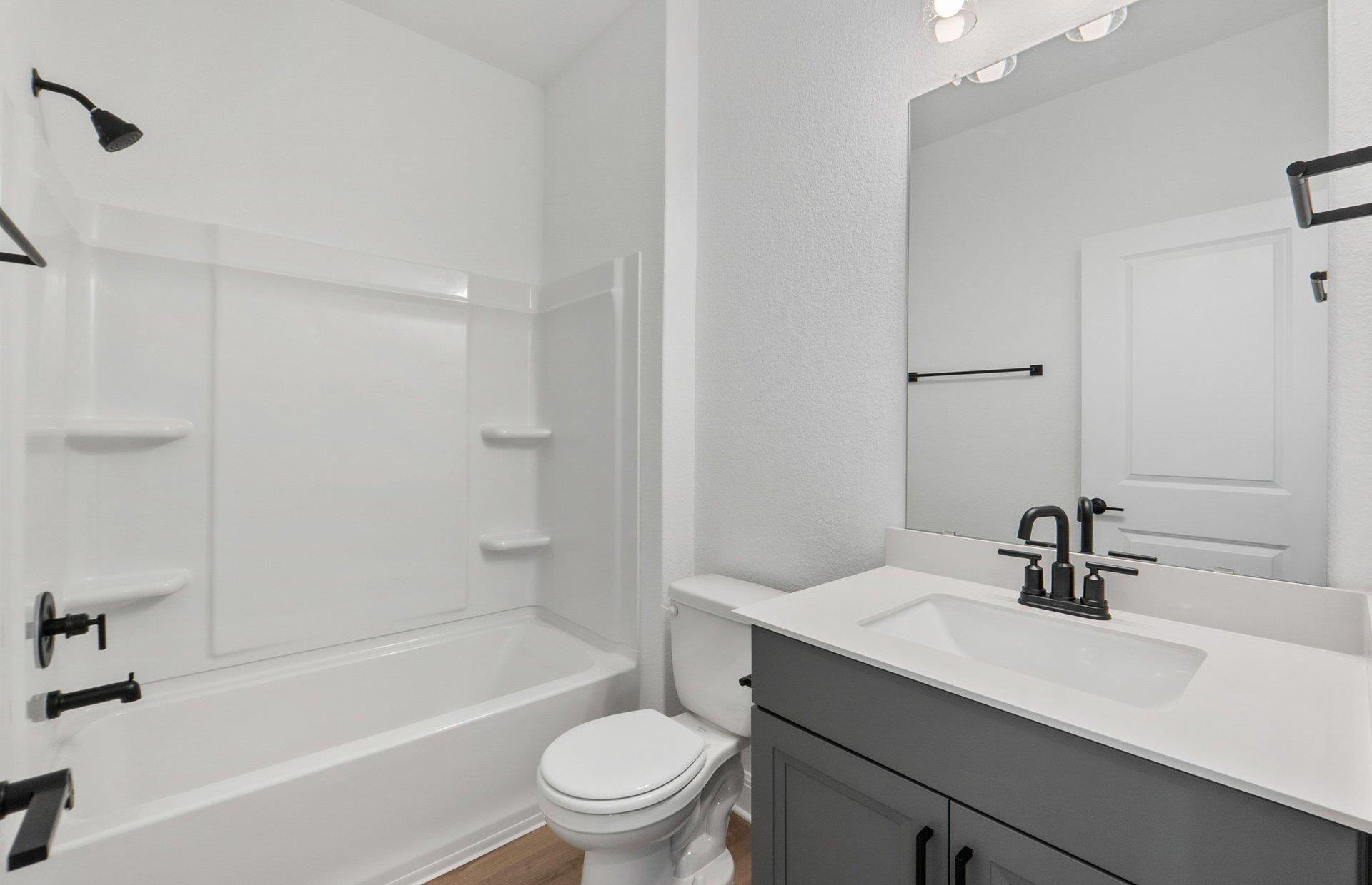 313 Bristlecone Bnd, Liberty Hill, TX 78642