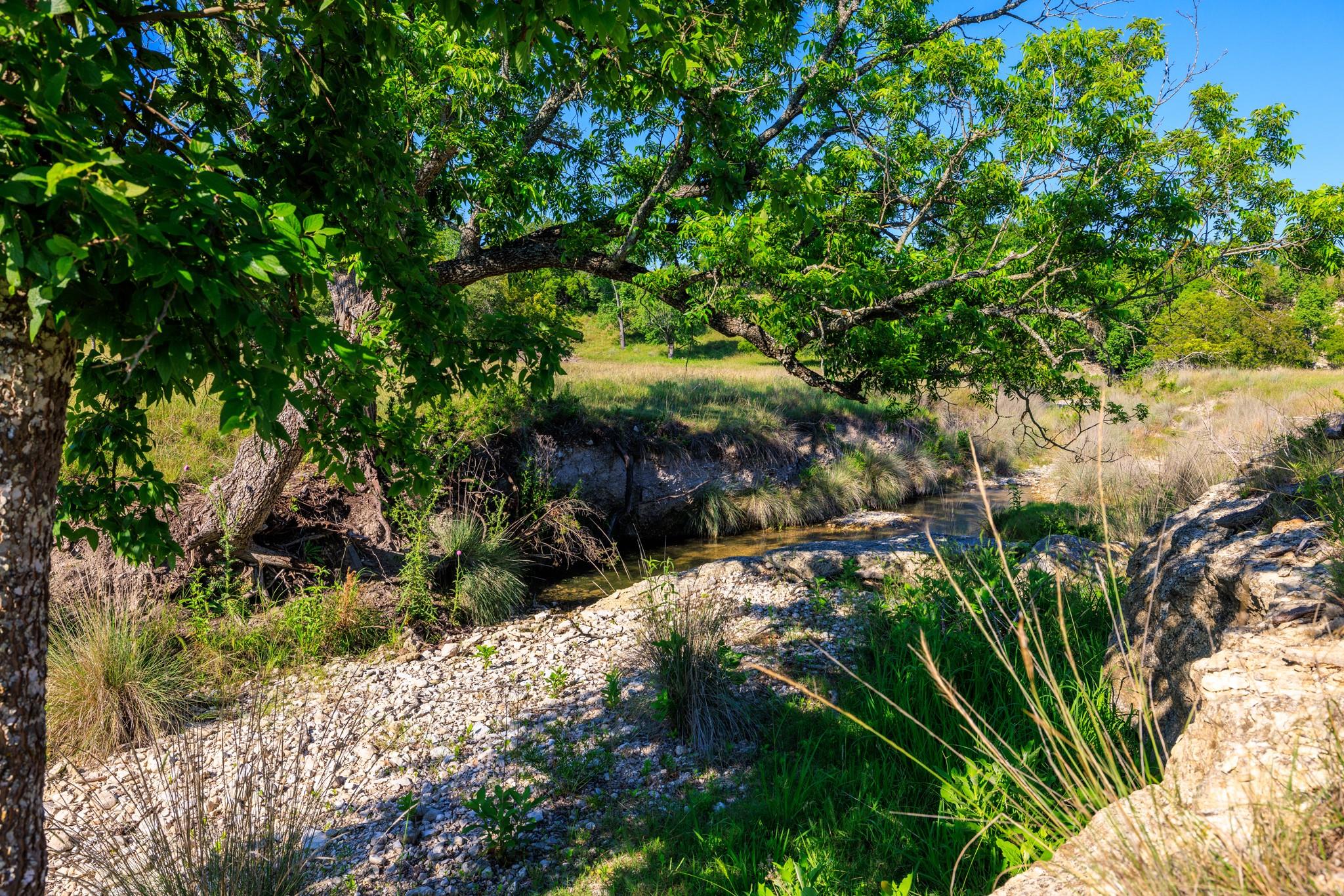 481 Living Water Ranch Rd, Harper, TX 78631