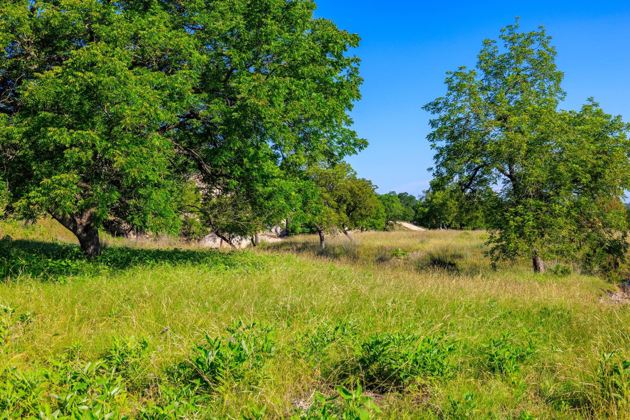 481 Living Water Ranch Rd, Harper, TX 78631