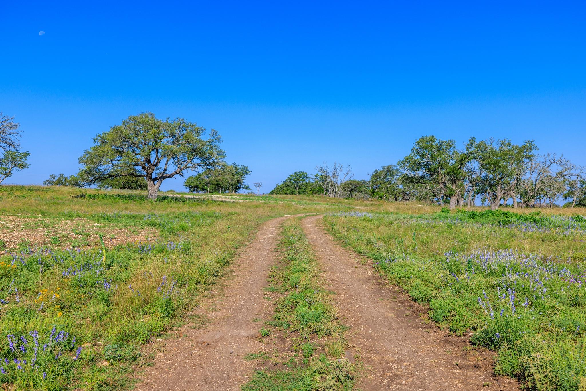 481 Living Water Ranch Rd, Harper, TX 78631