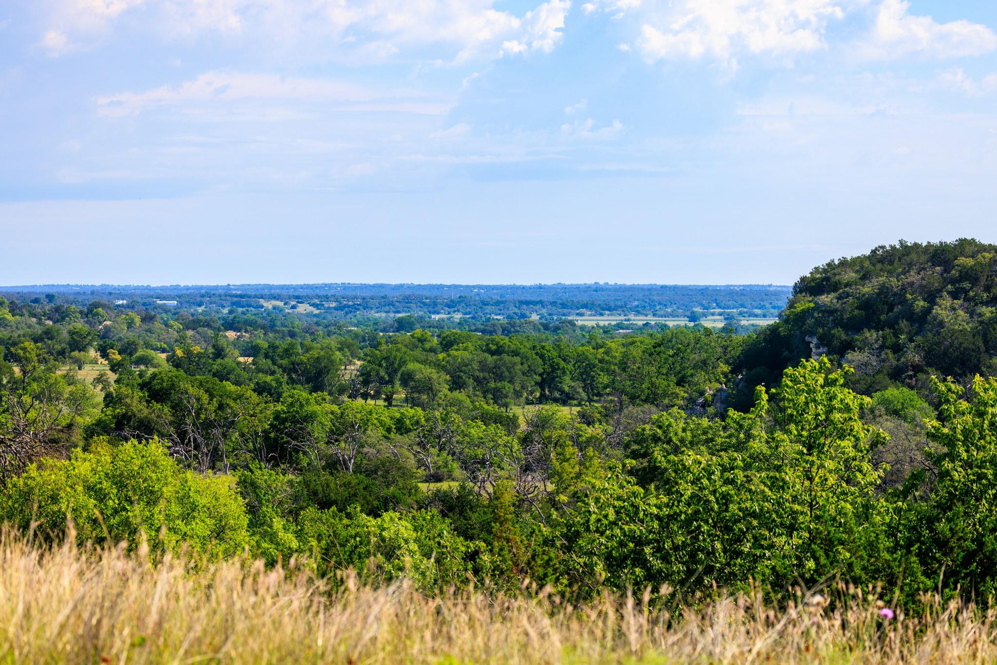 481 Living Water Ranch Rd, Harper, TX 78631