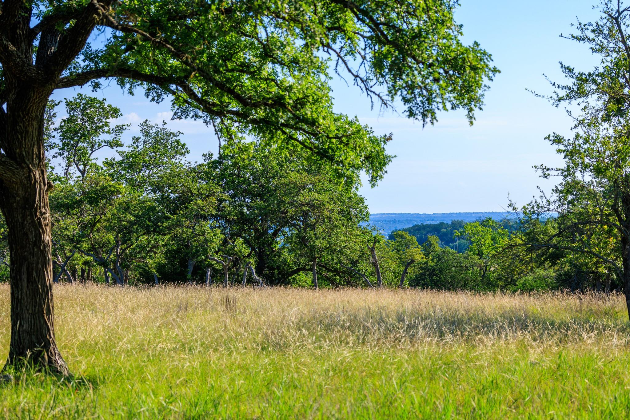 481 Living Water Ranch Rd, Harper, TX 78631