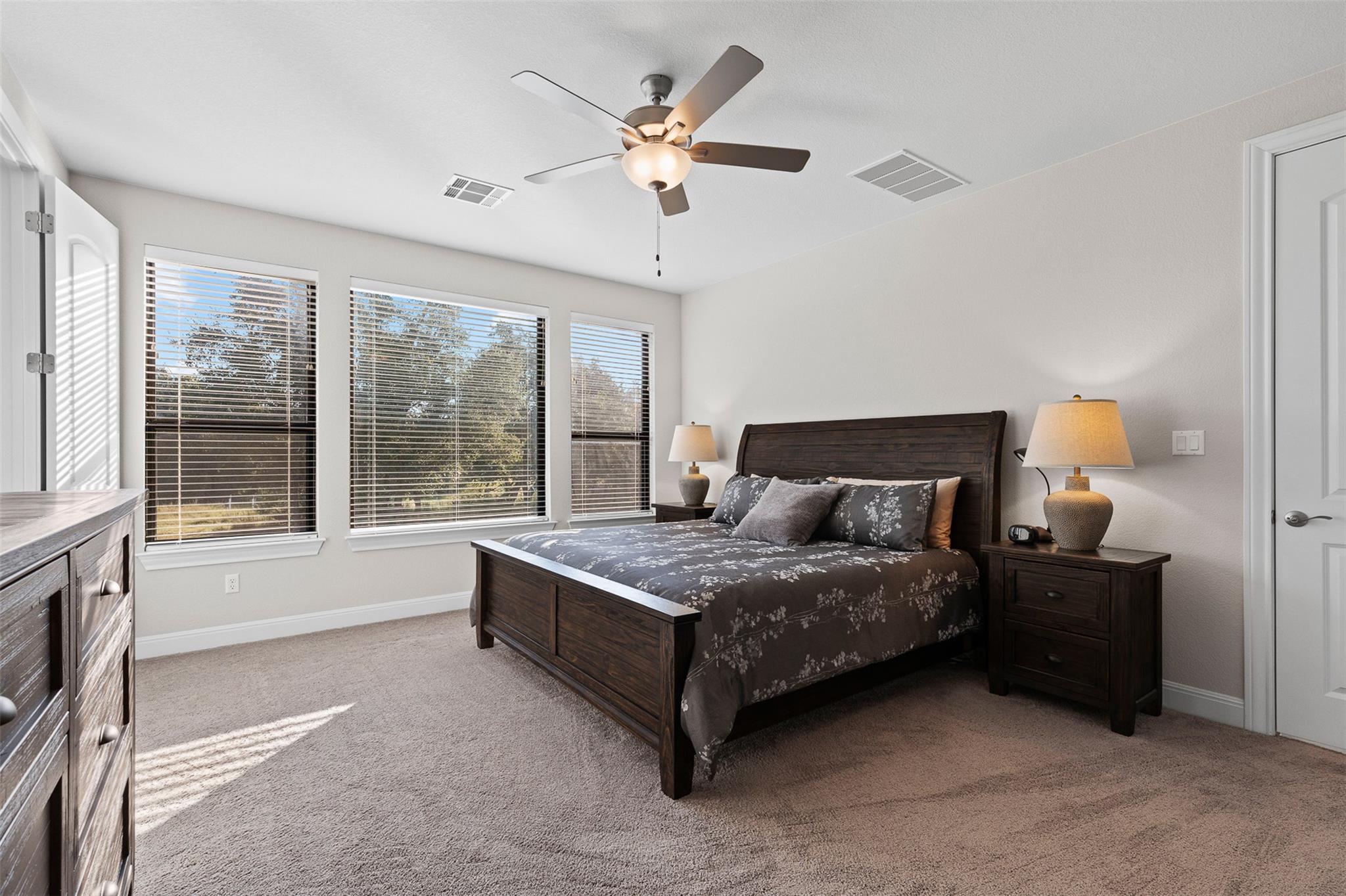 117 Nagle Ct, Liberty Hill, TX 78642