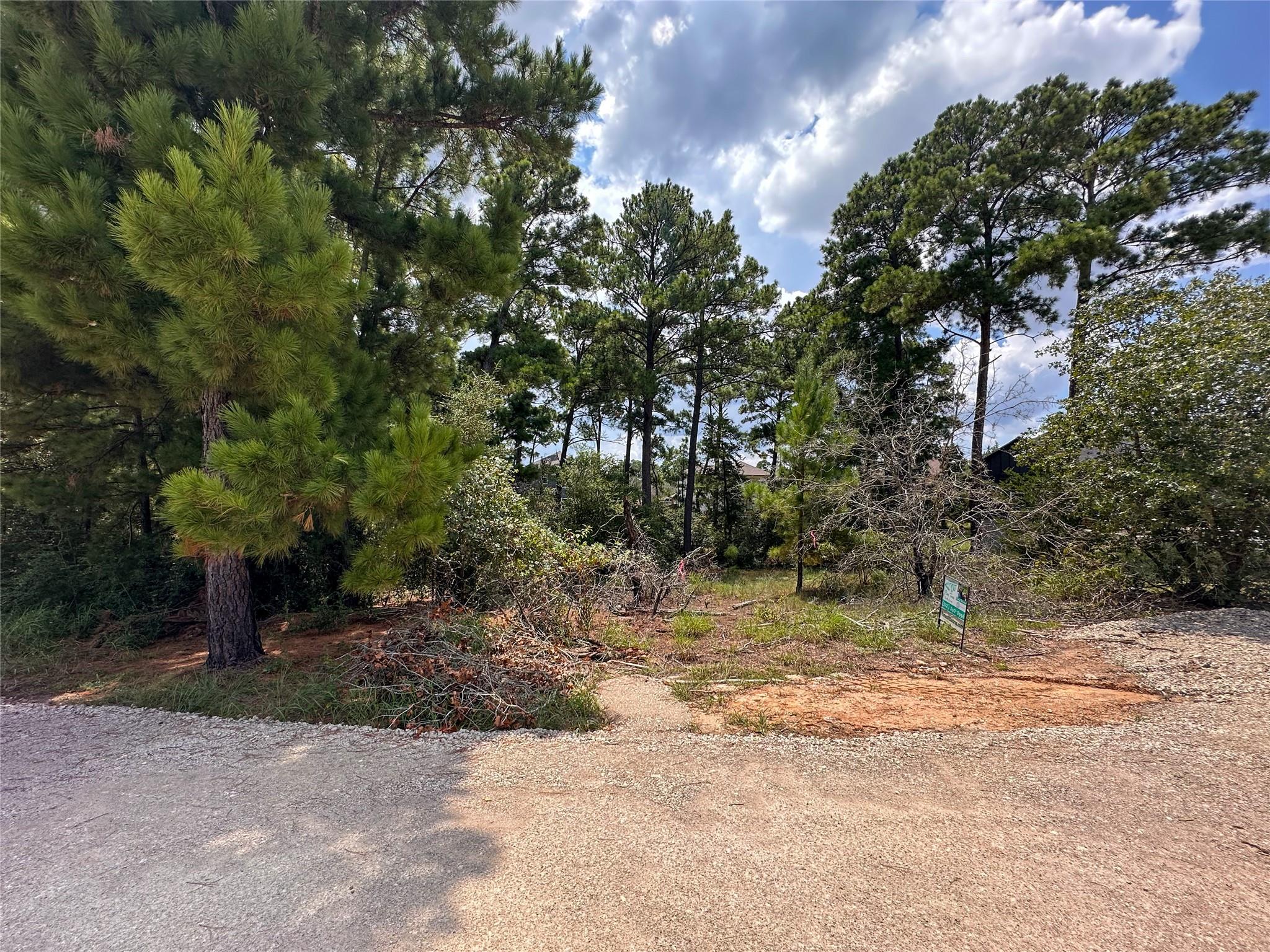 117 Mokolii Ct, Bastrop, TX 78602