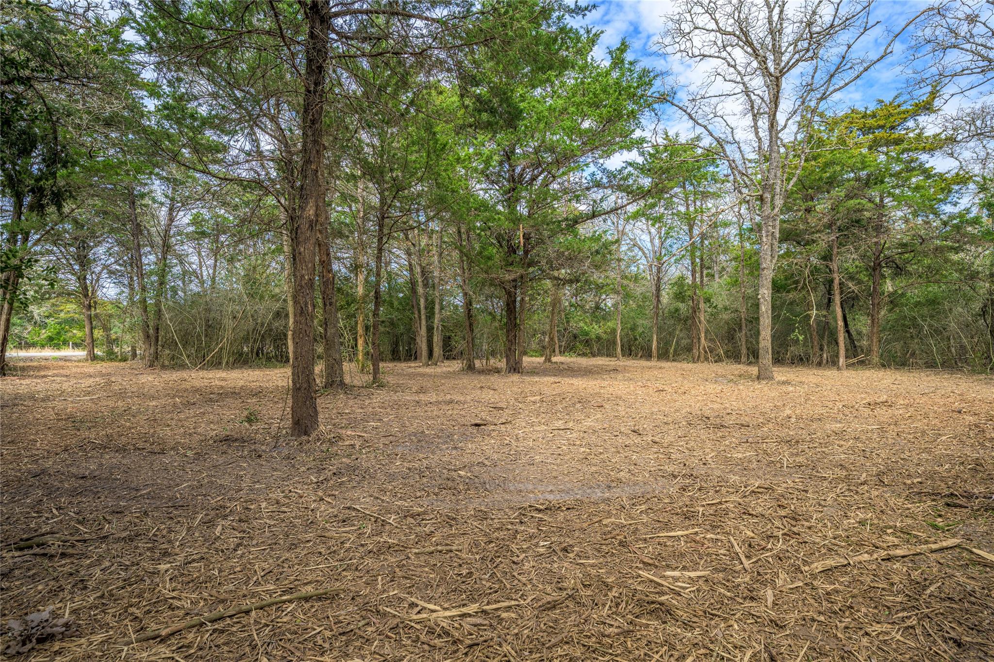 TBD (LOT 2) N Hauptstrasse St, Carmine, TX 78932