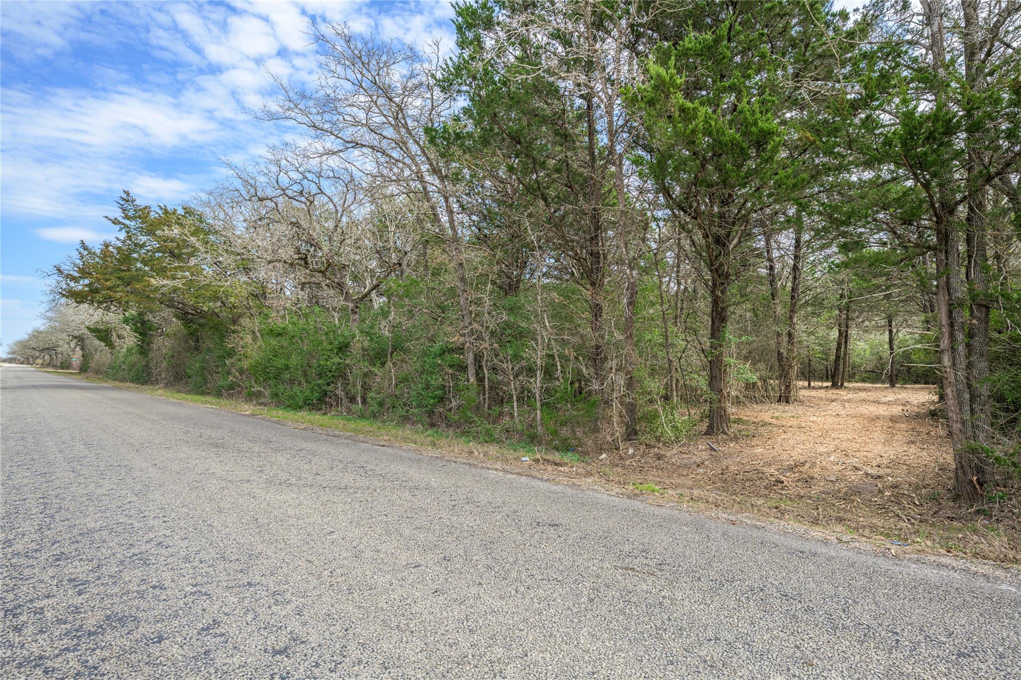 TBD (LOT 2) N Hauptstrasse St, Carmine, TX 78932